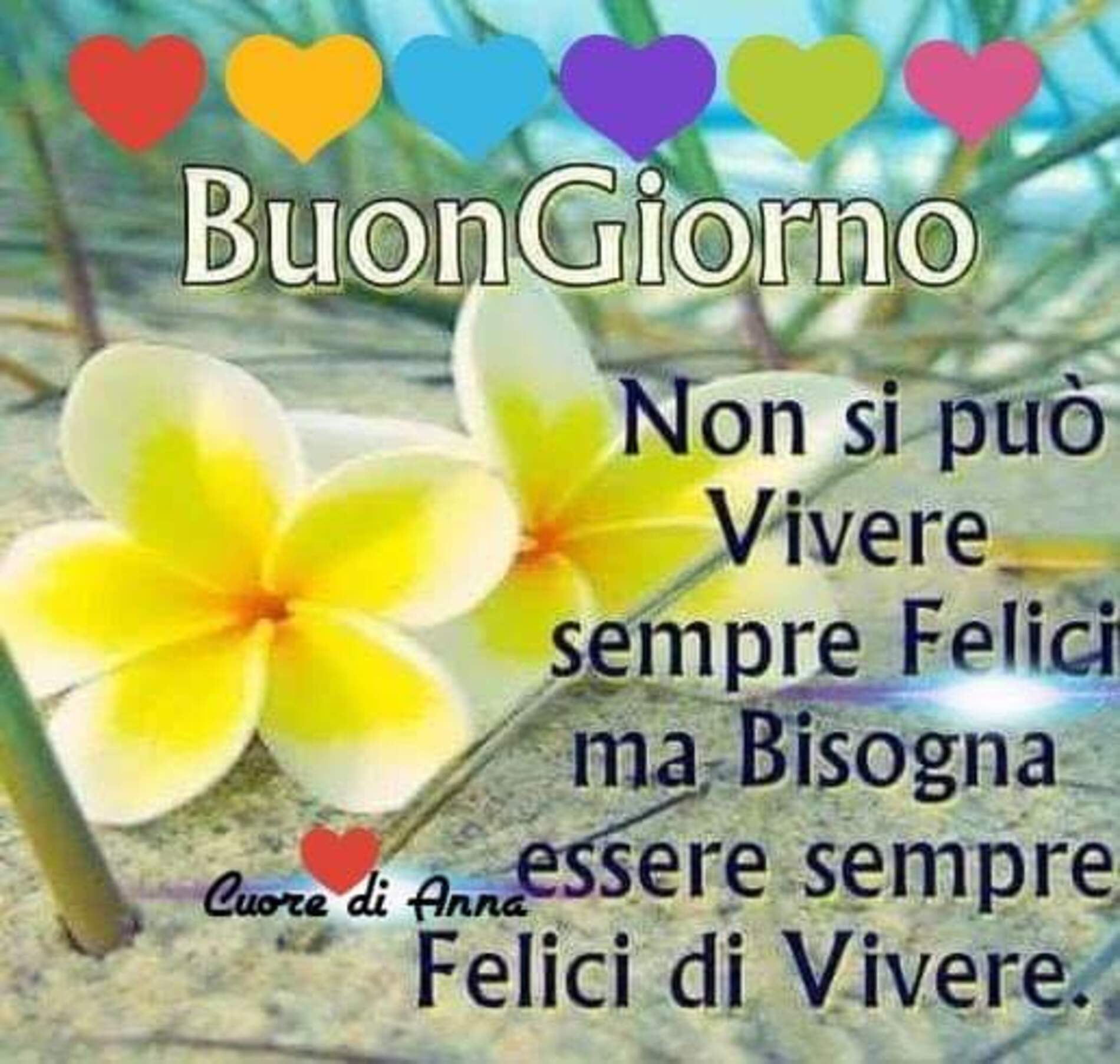 Non si può vivere sempre felici ma bisogna essere sempre felici di vivere buon giorno