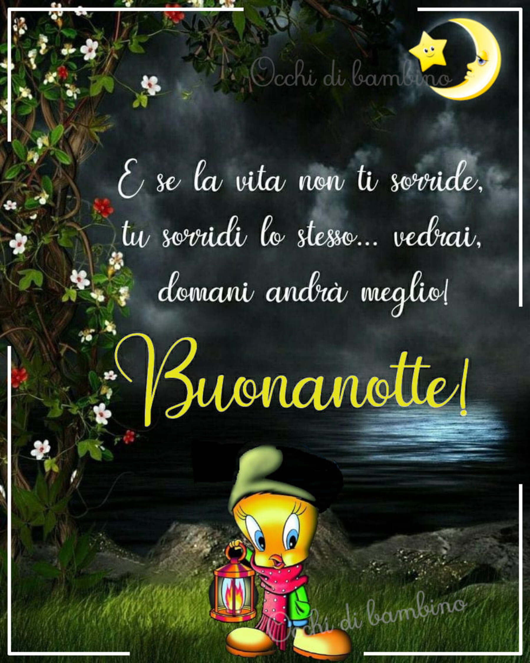 Non so voi ma io vado a dormire buonanotte 5