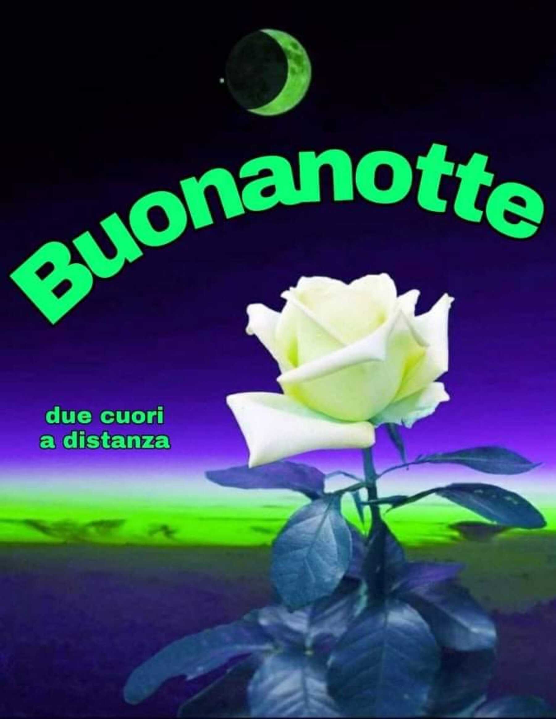 Notte 8