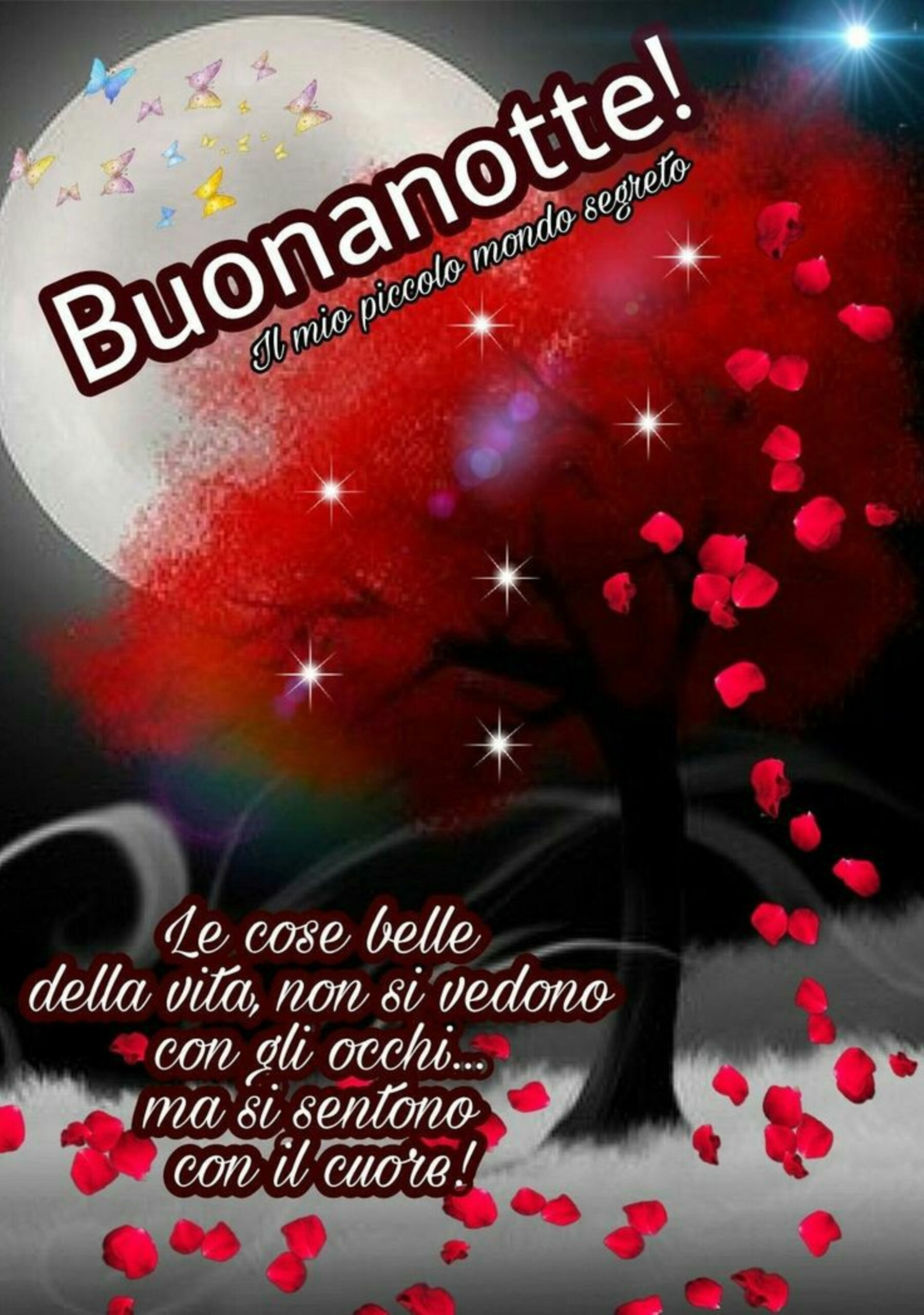 Per augurare buonanotte 13