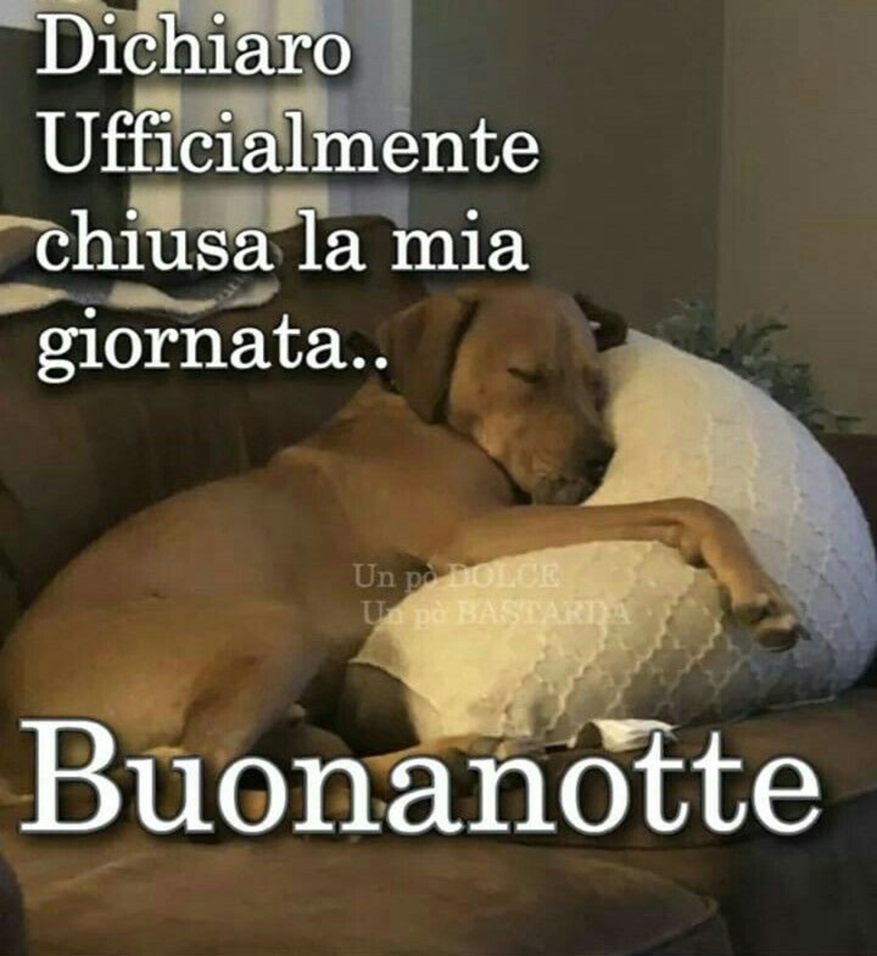 Se hai un sogno inseguilo buonanotte 10