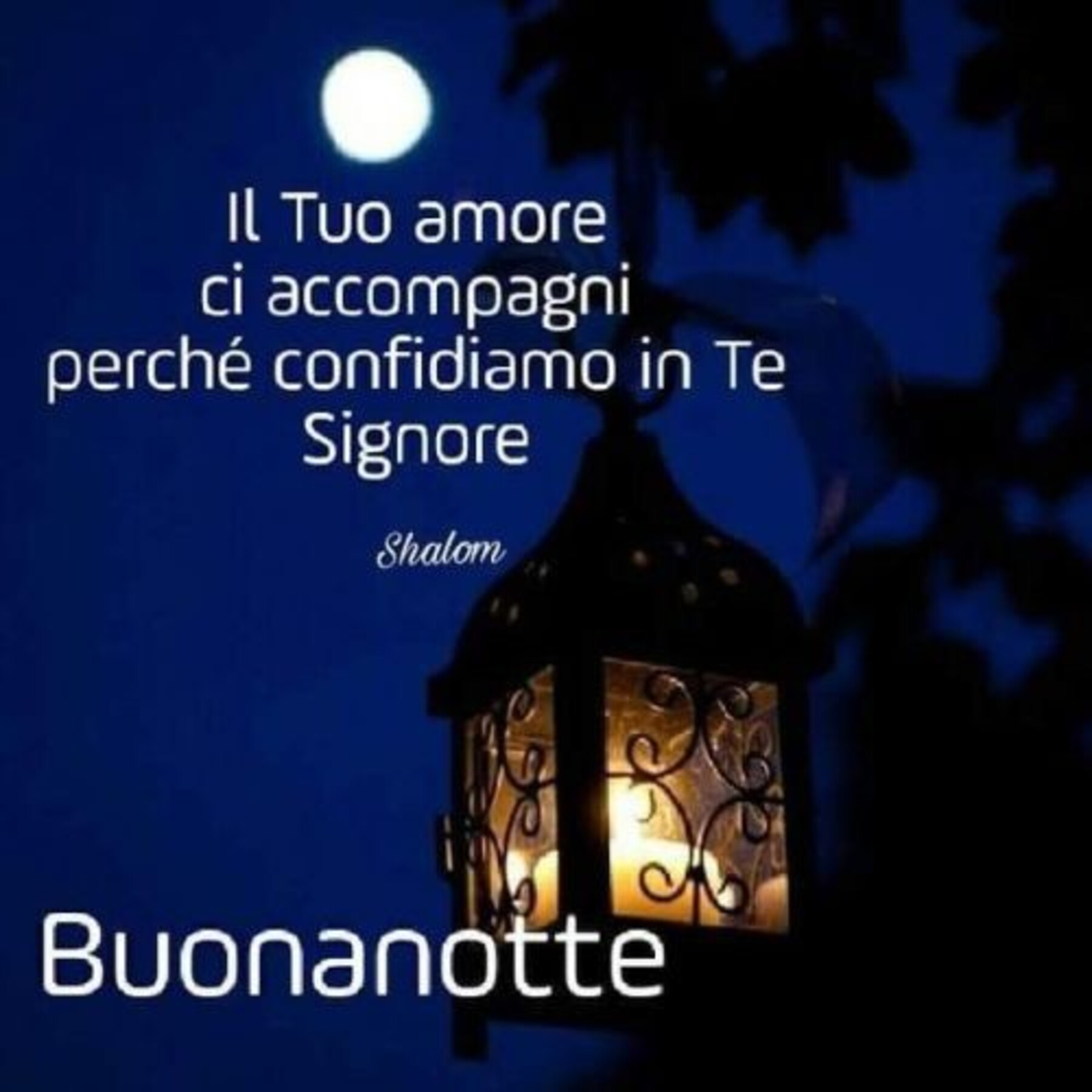 Semplicemente buonanotte a tutti 9