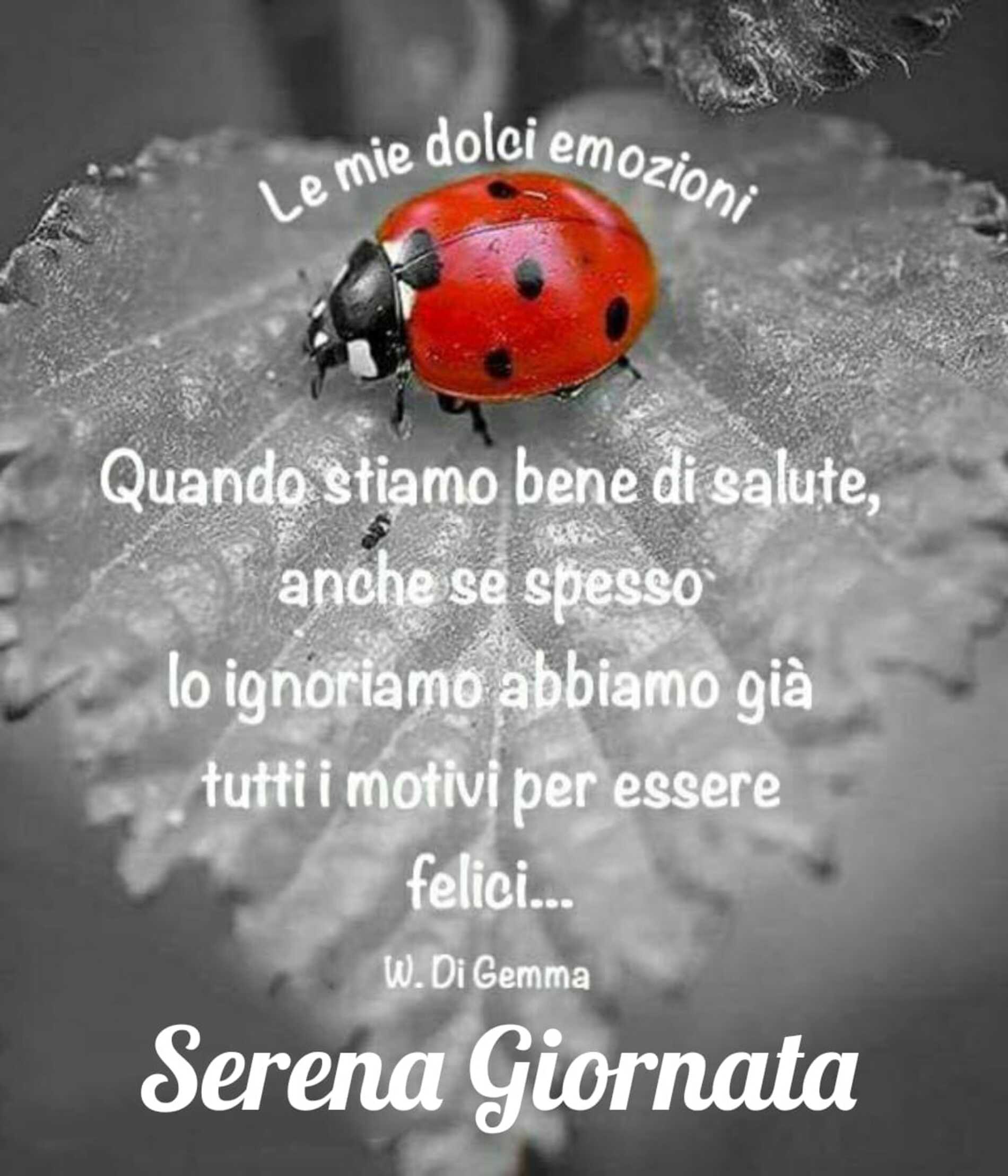 Serena Giornata coccinella