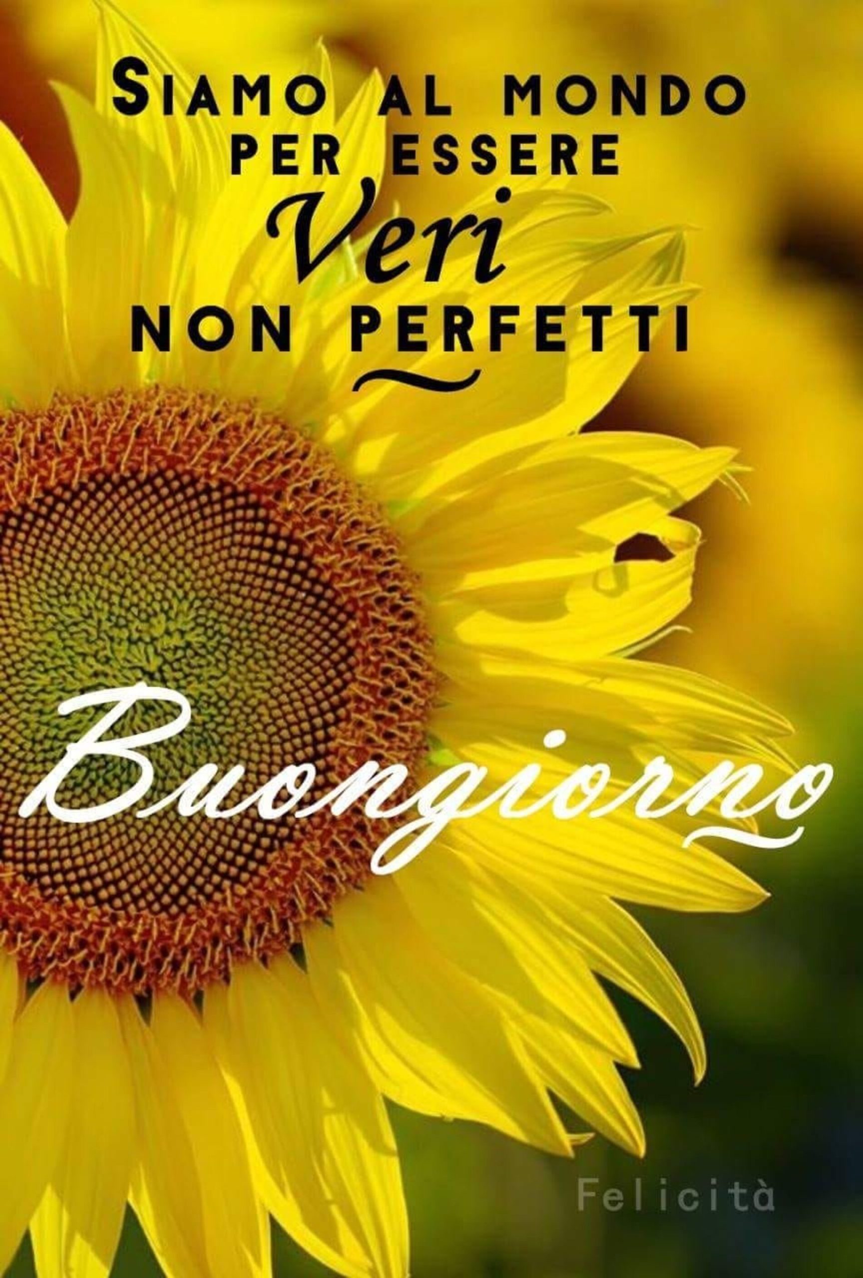 Siamo al mondo per essere veri non perfetti Buongiorno