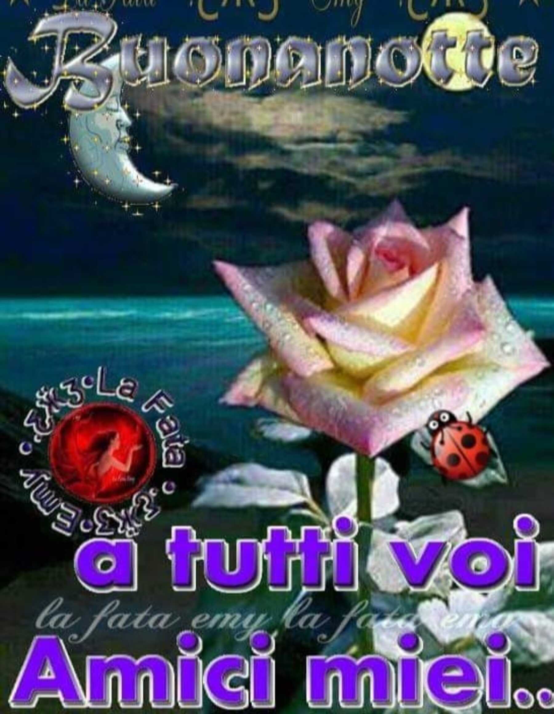 Sono stanco non connetto buonanotte a tutti 5