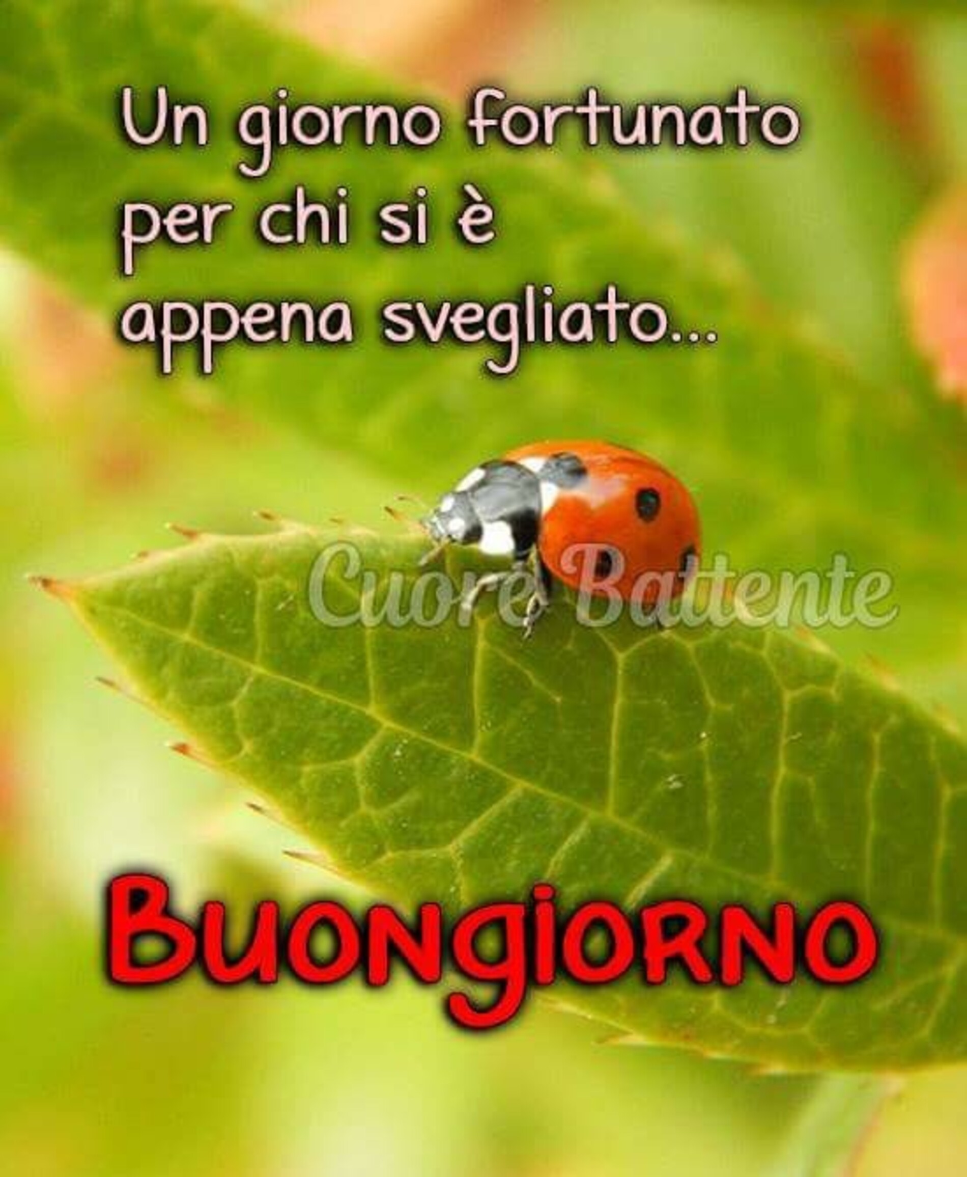 Un giorno fortunato per chi si è appena svegliato buongiorno