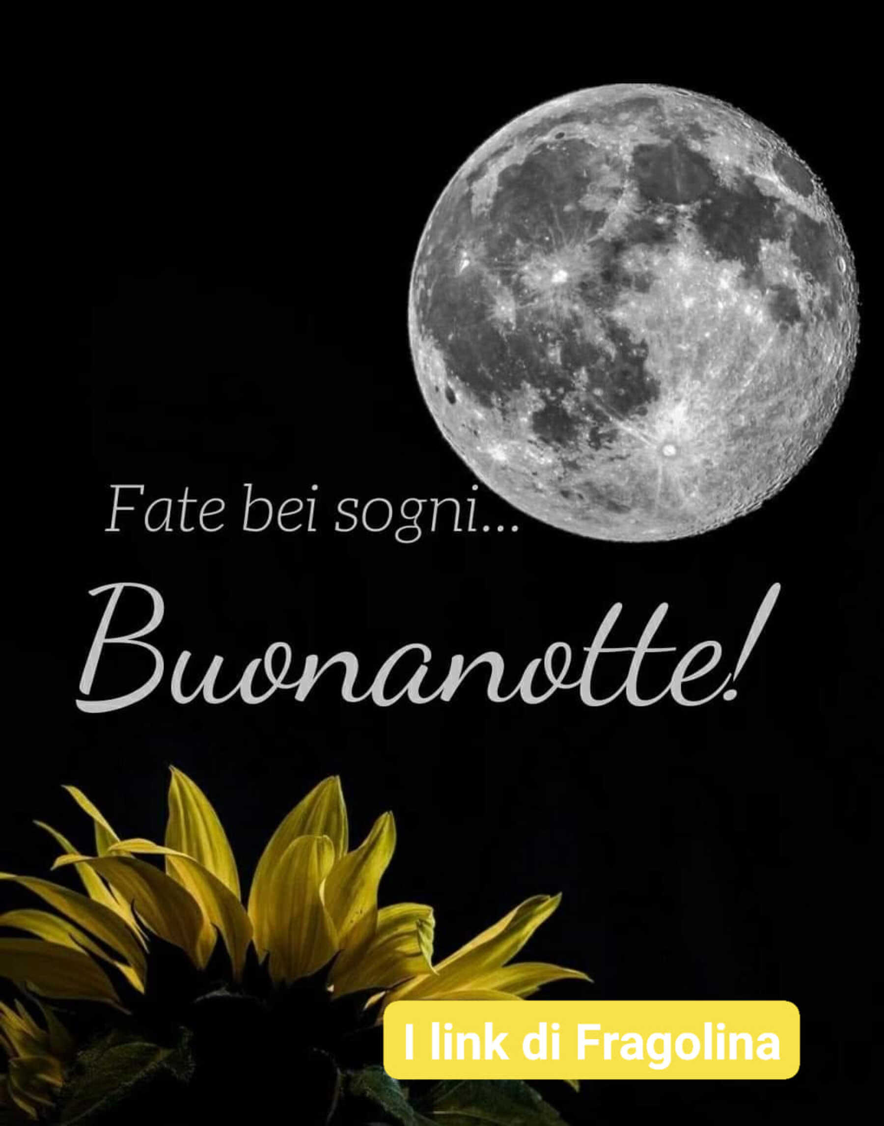 Vado nel mondo dei sogni buona notte 15