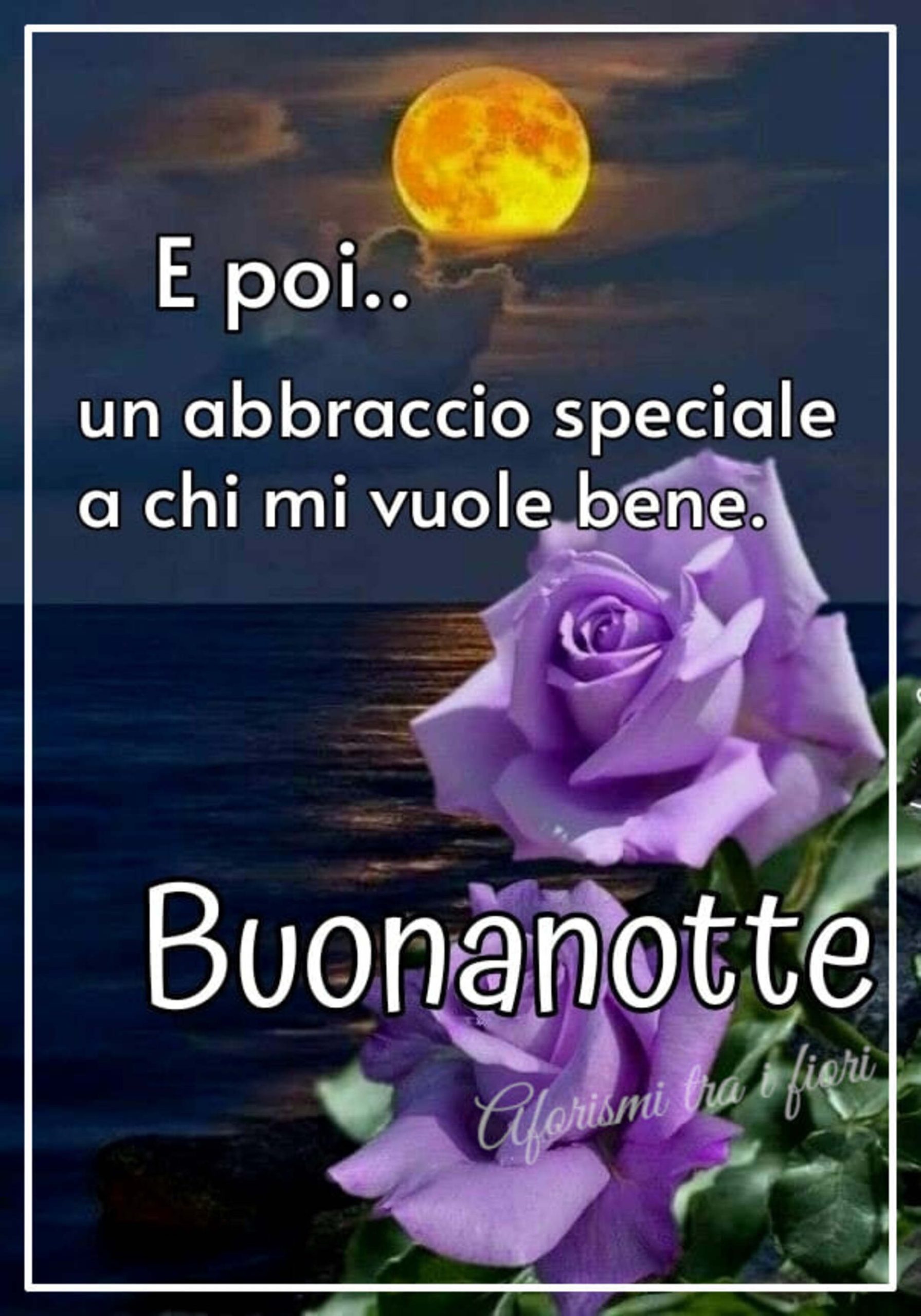 Vado nel mondo dei sogni buona notte 5