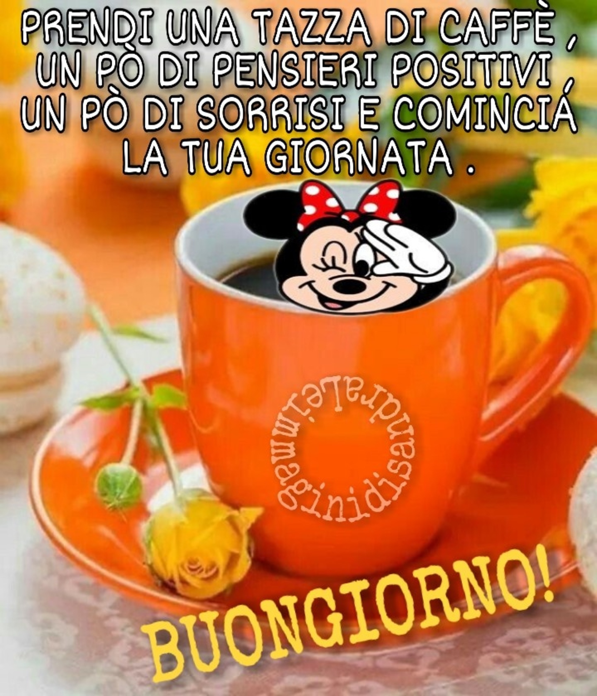 Vignette del buongiorno nuove 10