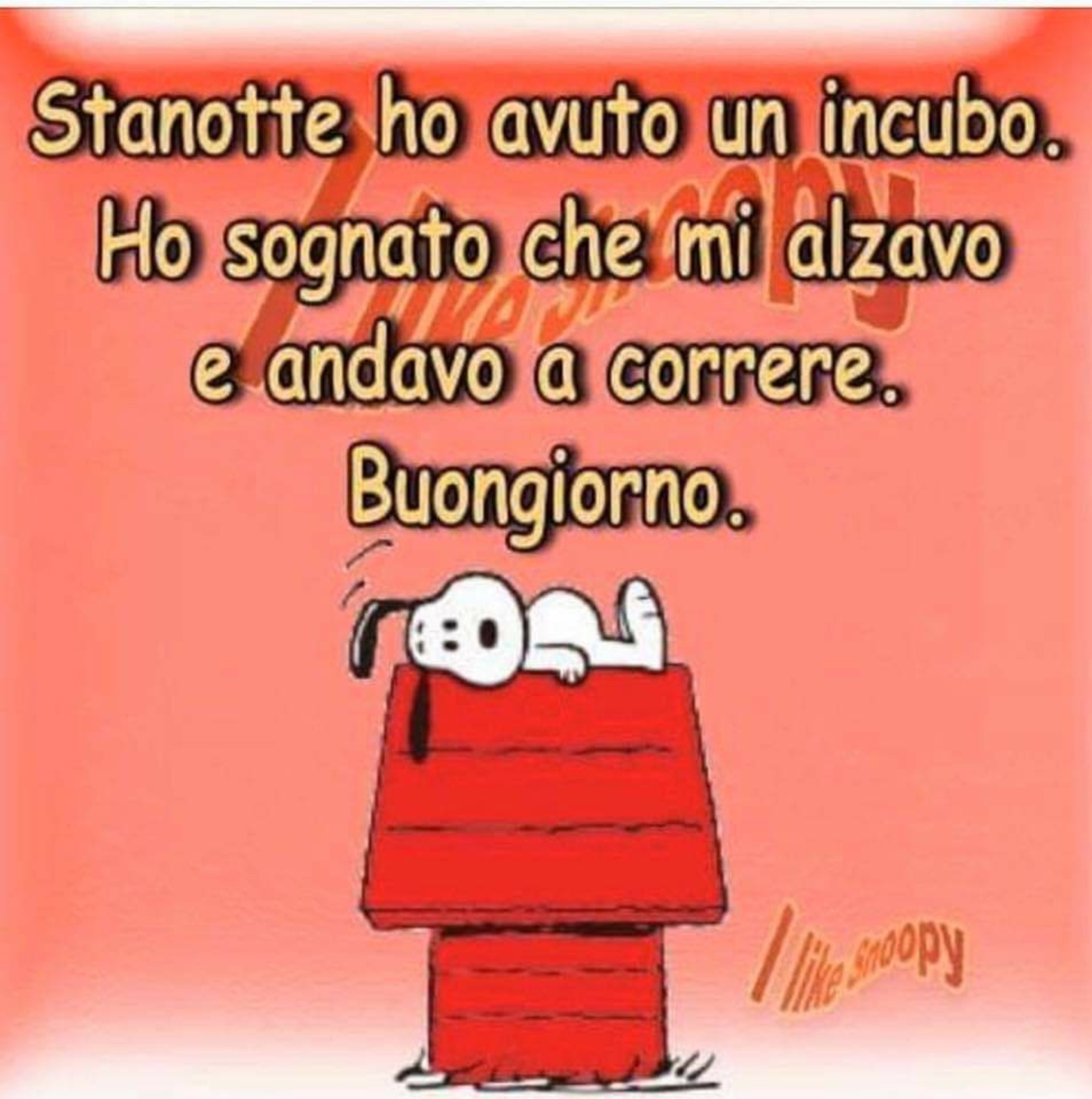 Vignette del buongiorno nuove 14