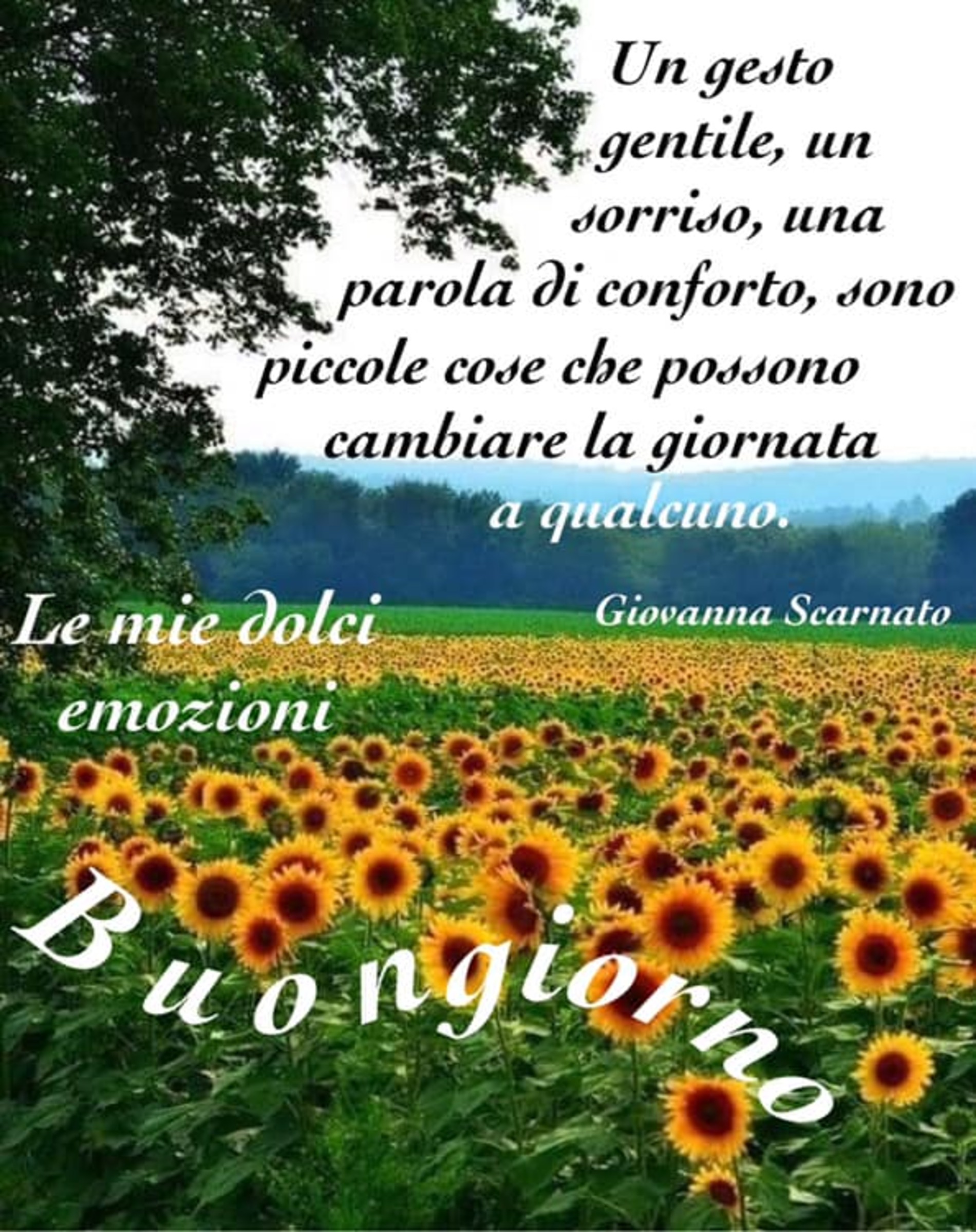 Vignette del buongiorno nuove 5