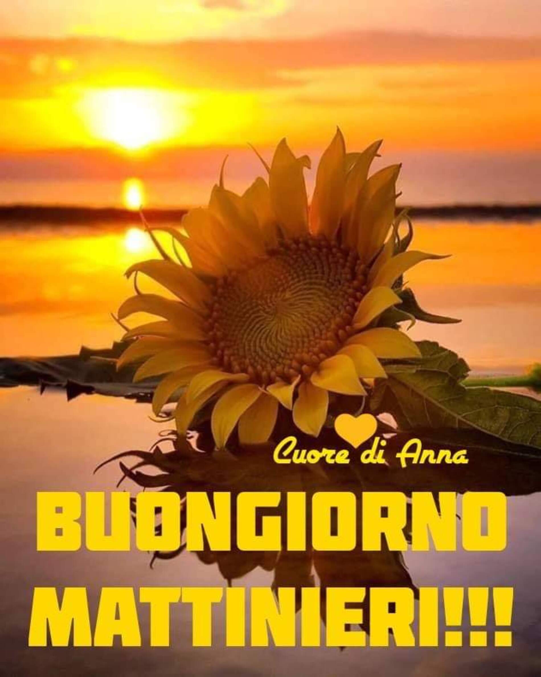 Vignette del buongiorno nuove 7