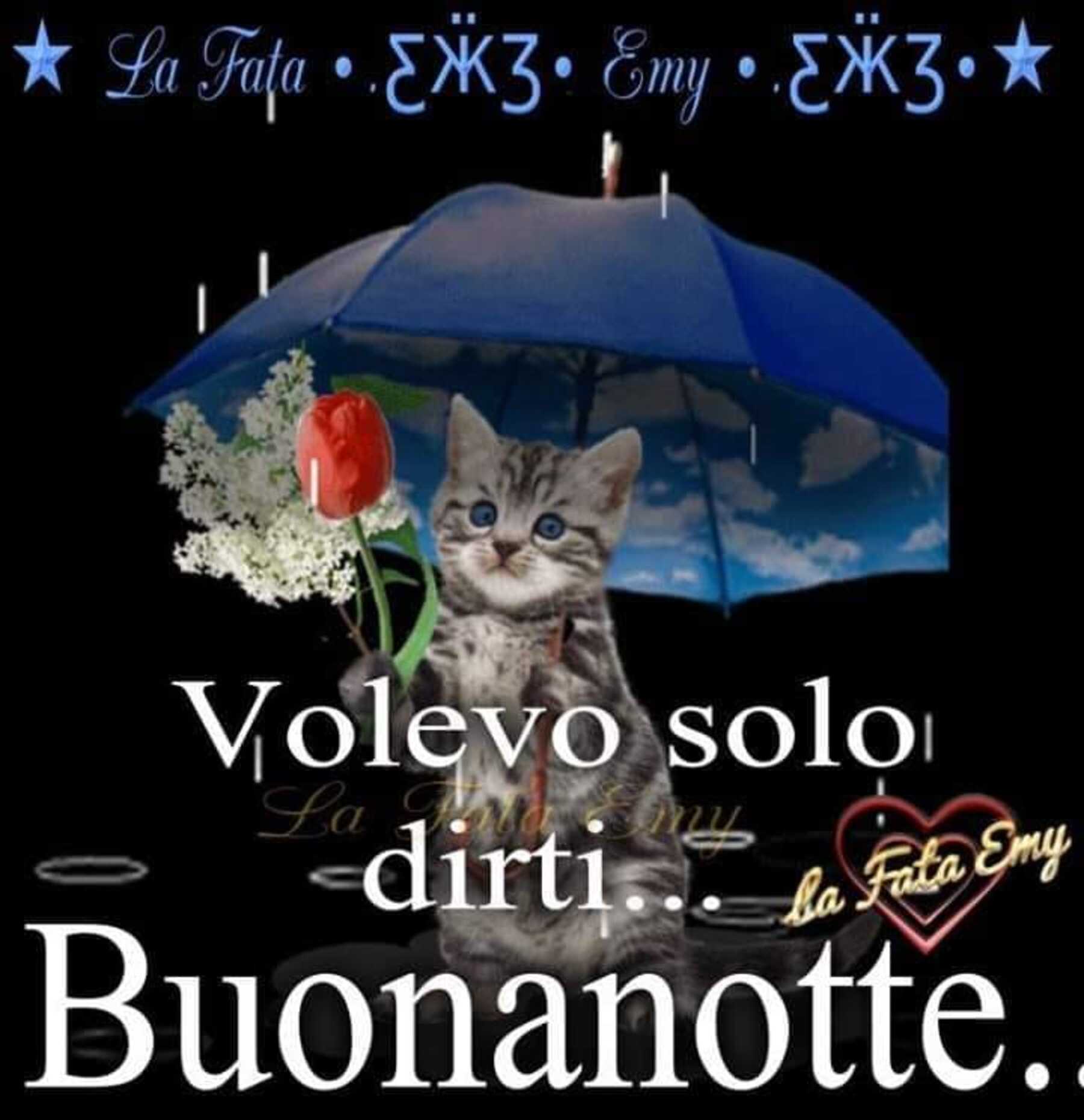 buonanotte pioggia