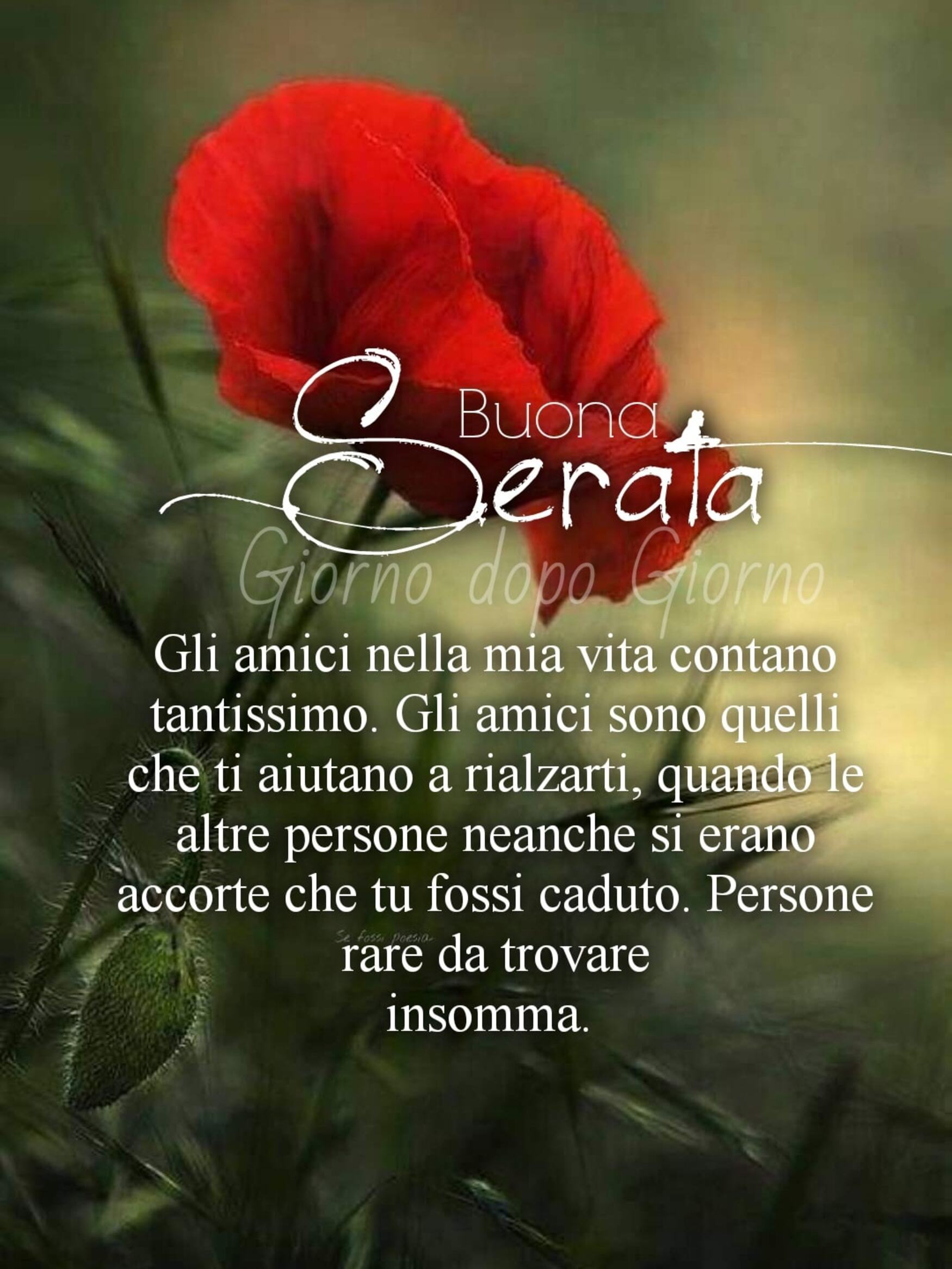 Frasi bellissime per augurare Buona Serata (1)