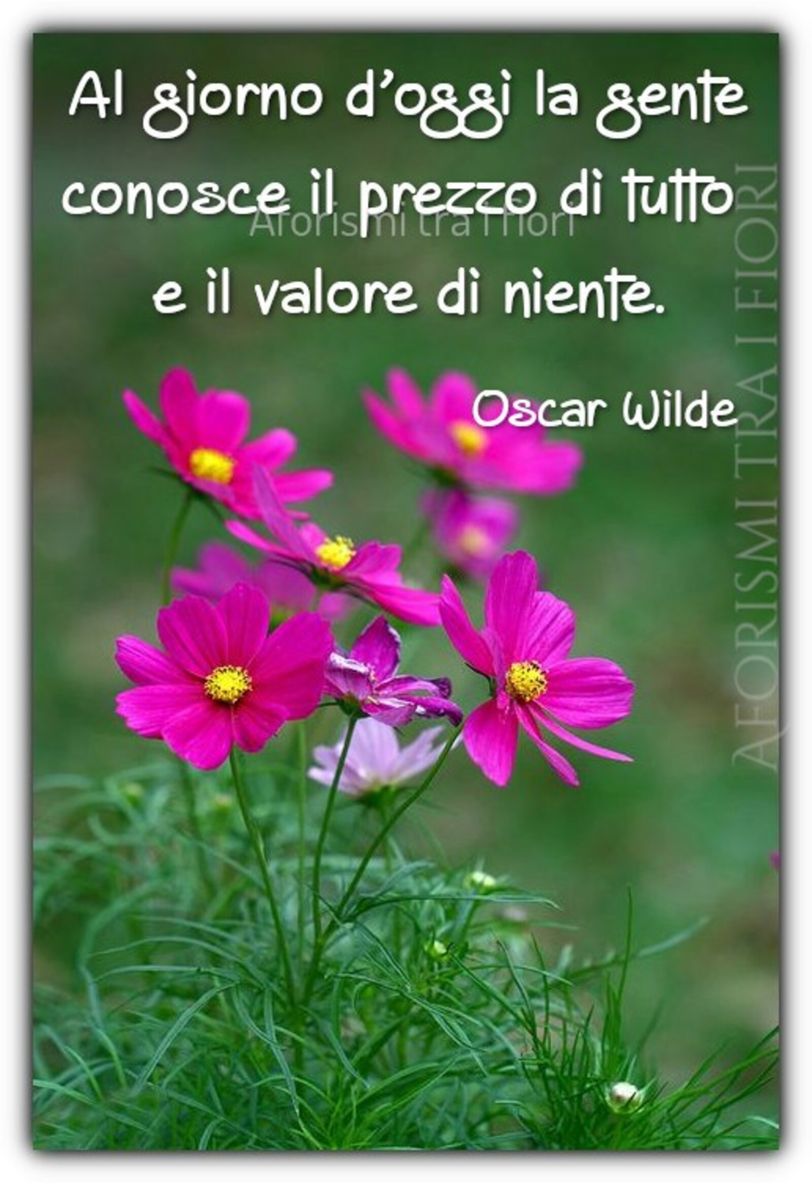 Al giorno d’ oggi la gente conosce il prezzo di tutto e il valore di niente Oscar Wilde