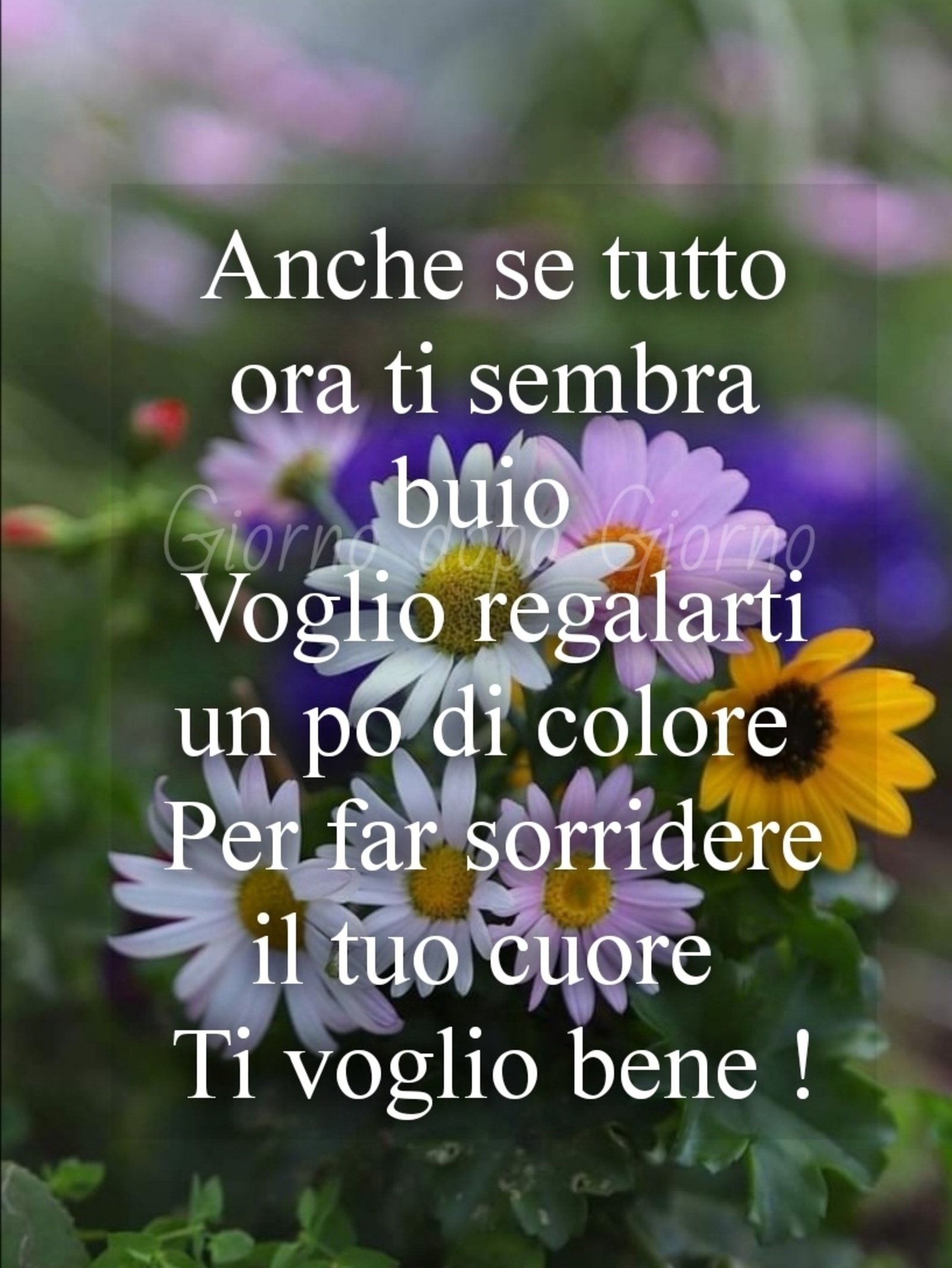 Anche se tutto ora ti sembra buio voglio regalarti un pò di colore per far sorridere il tuo cuore