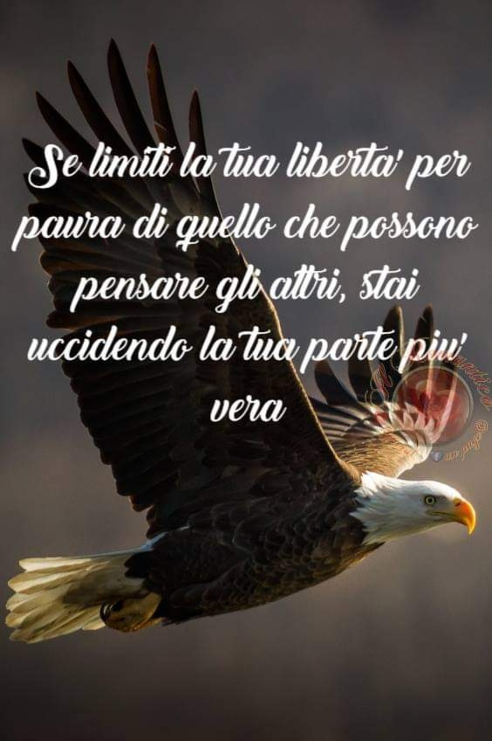 Frasi belle da mandare agli amici (11)