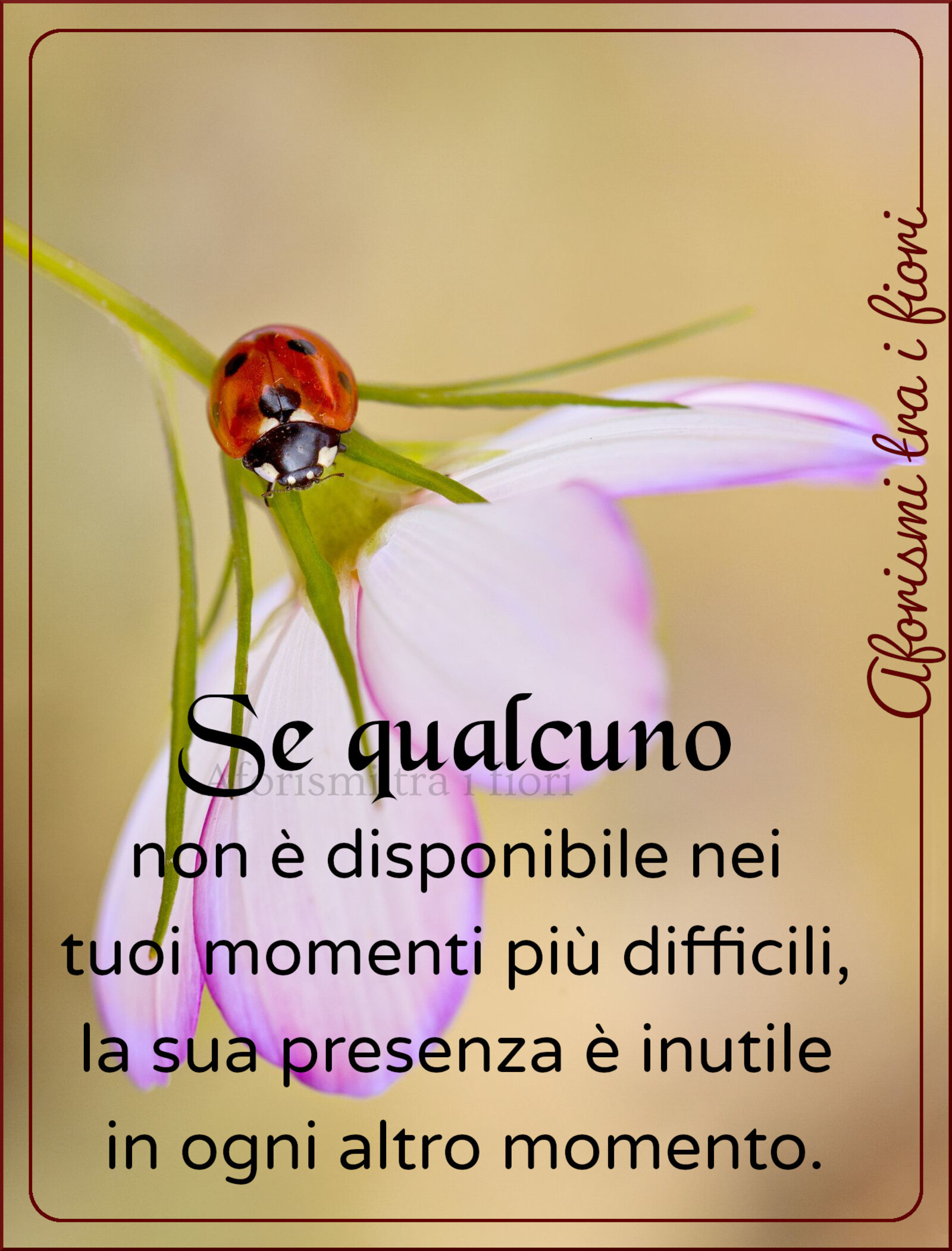 Frasi belle da mandare agli amici (12)