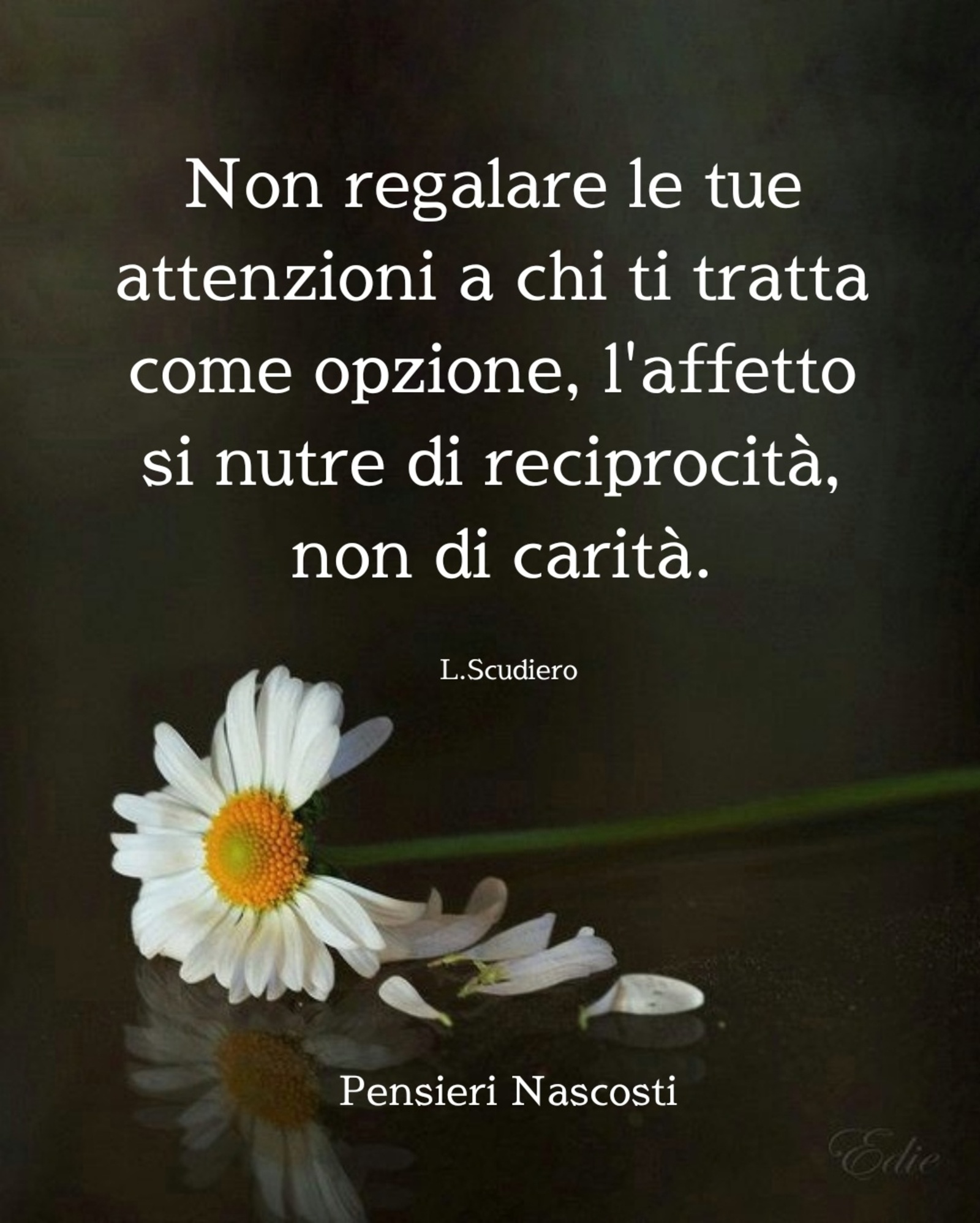 Frasi belle da mandare agli amici (8)