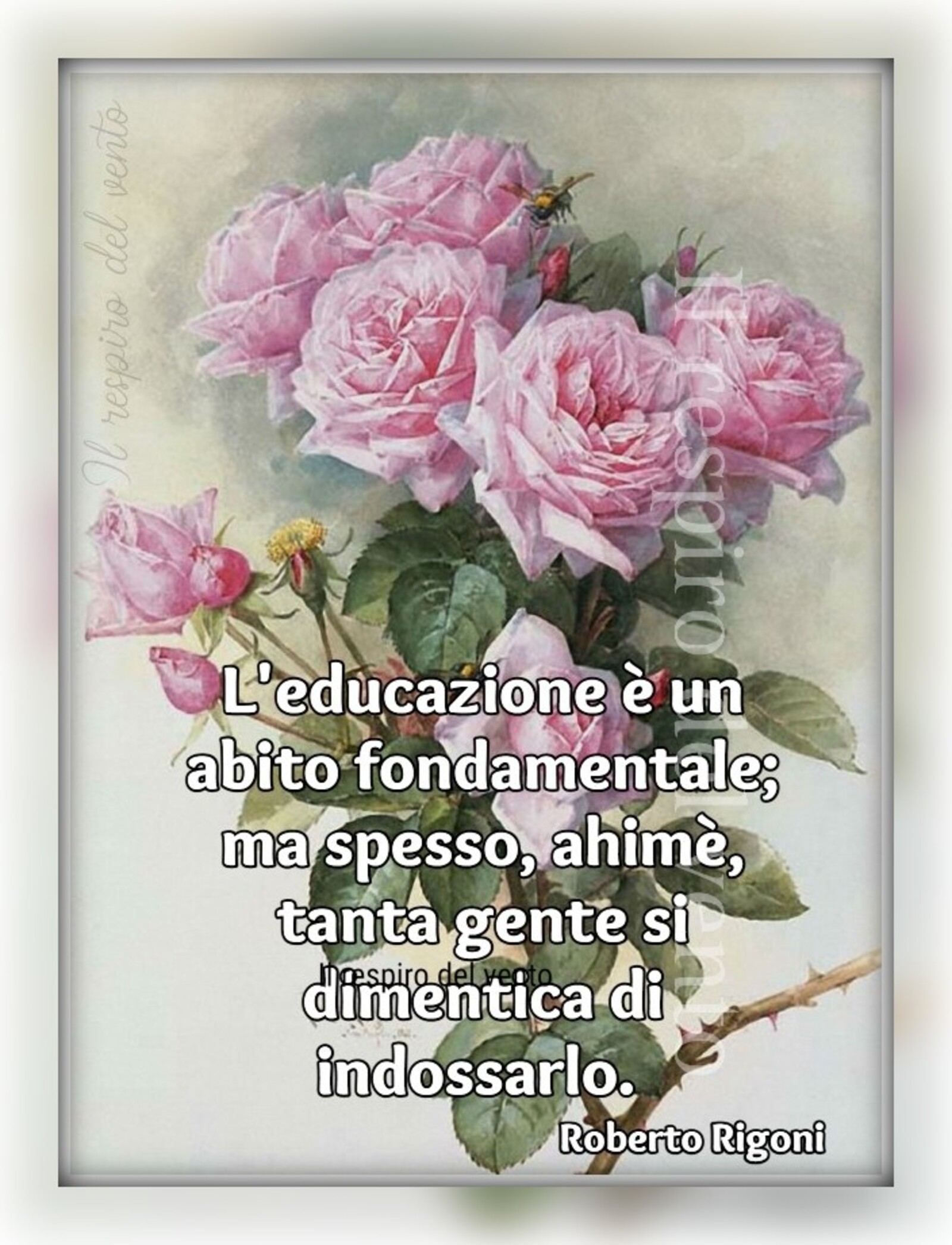 Frasi bellissime (1)