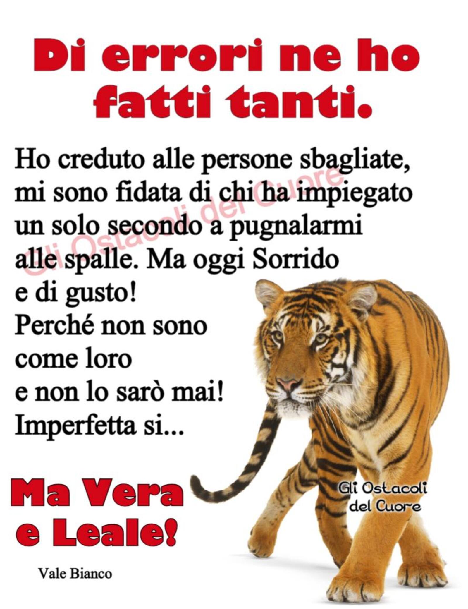 Frasi bellissime (3)