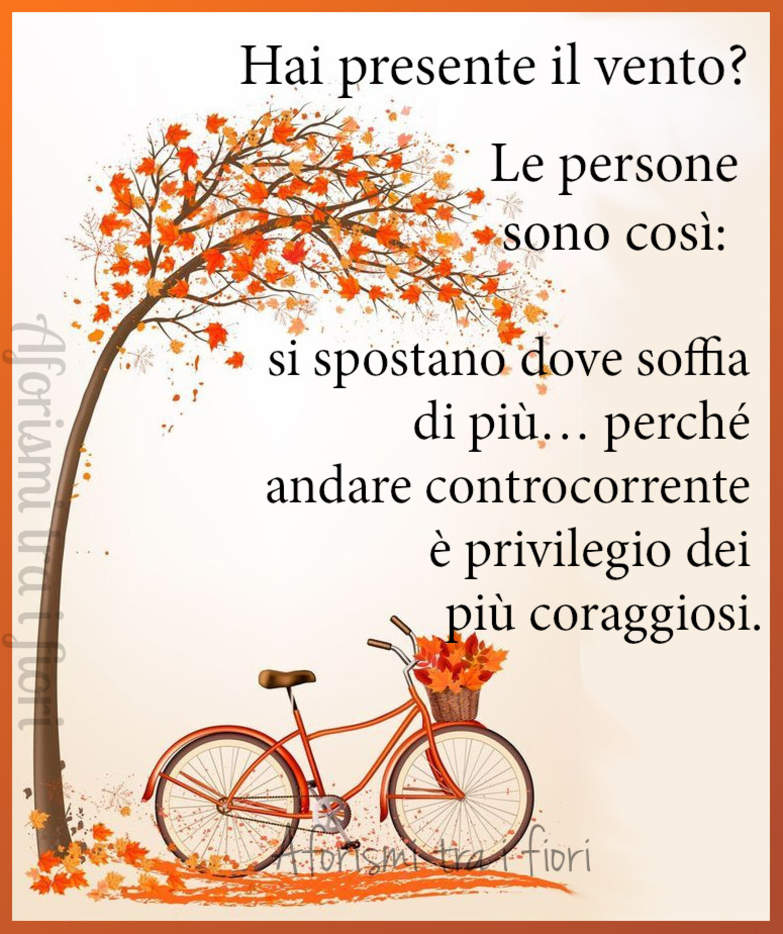 Frasi bellissime (7)