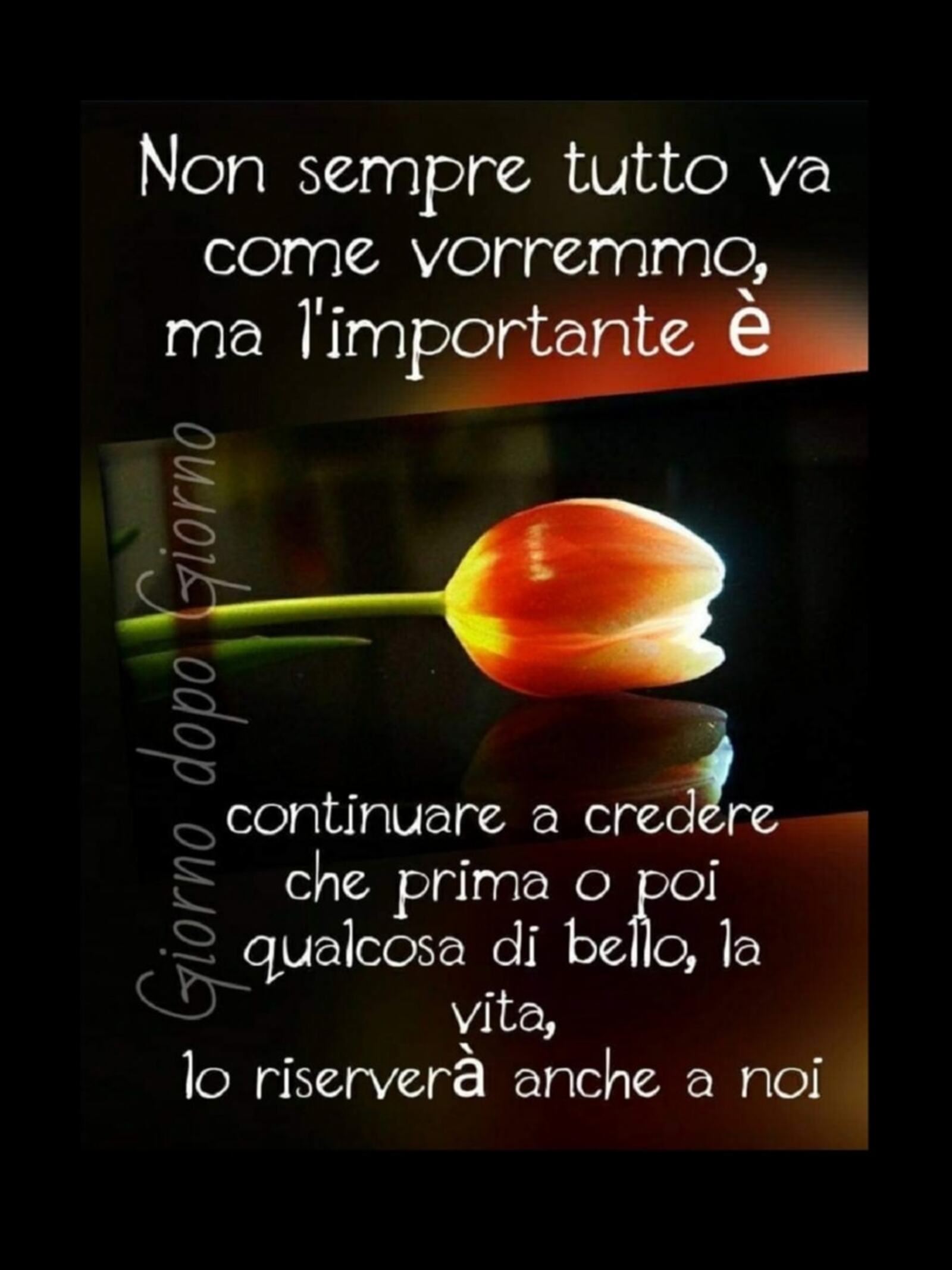 Frasi di speranza