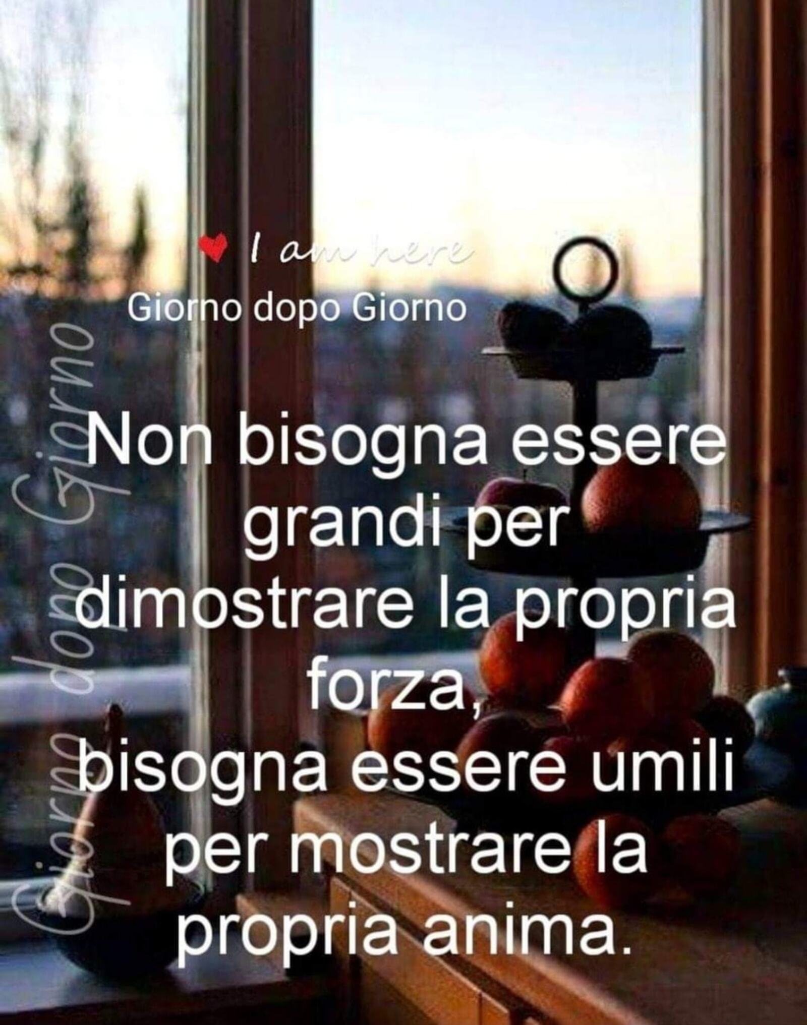 Frasi e citazioni migliori da condividere gratis (4)