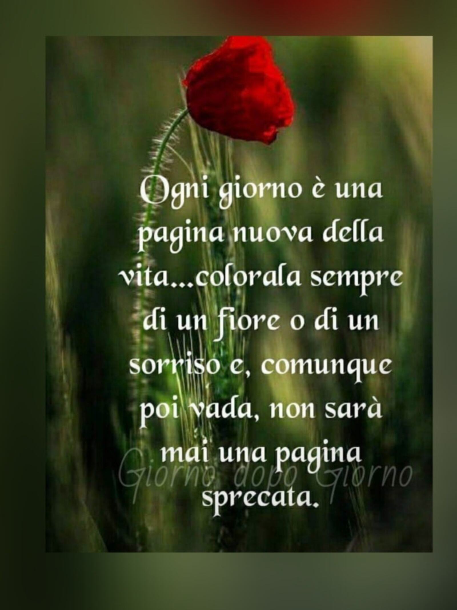 Frasi nuove (8)