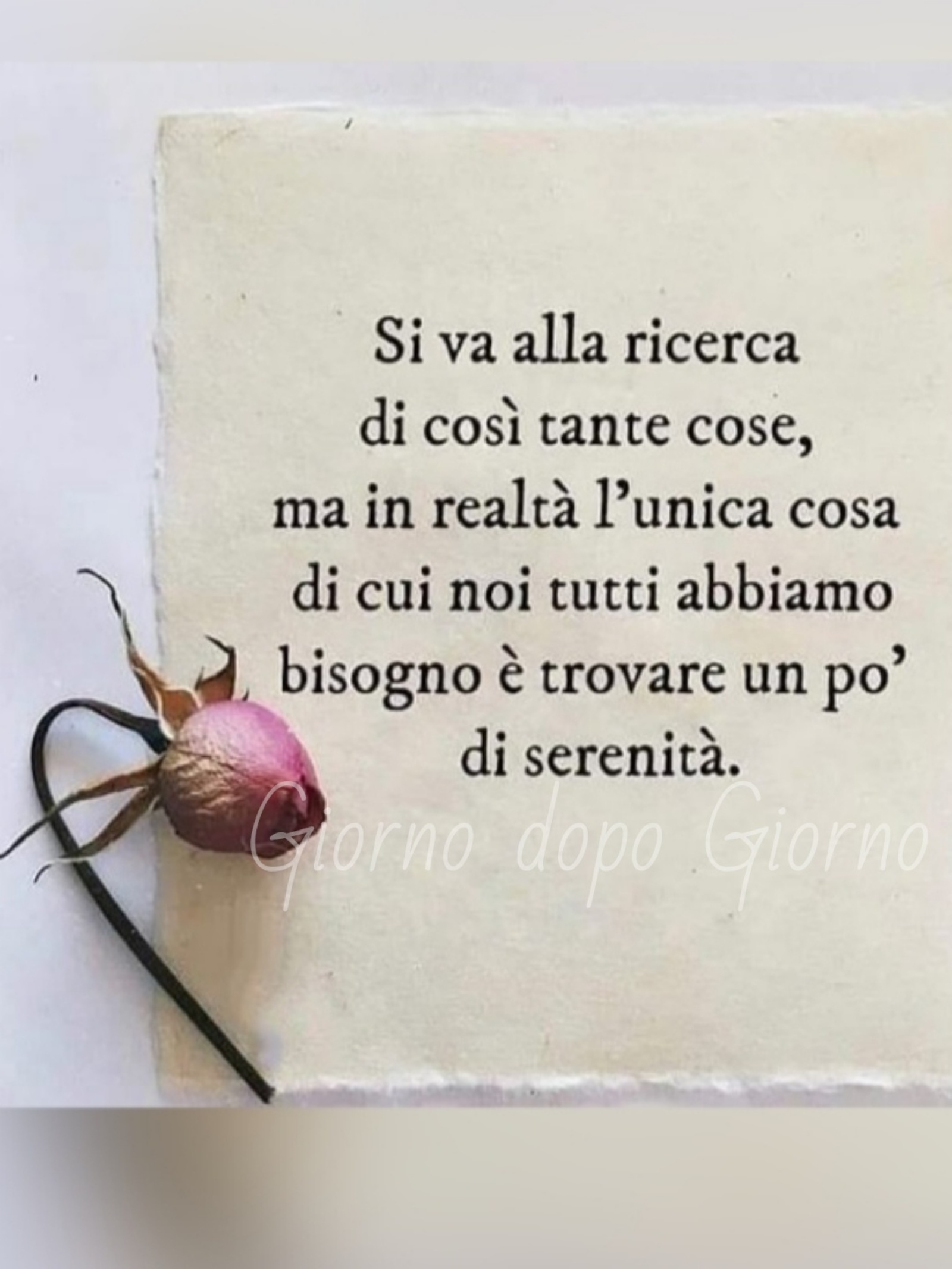 Frasi sulla serenità