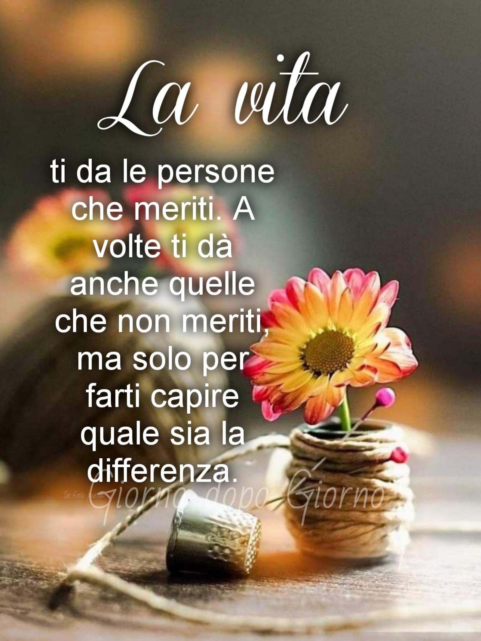 Frasi sulla vita