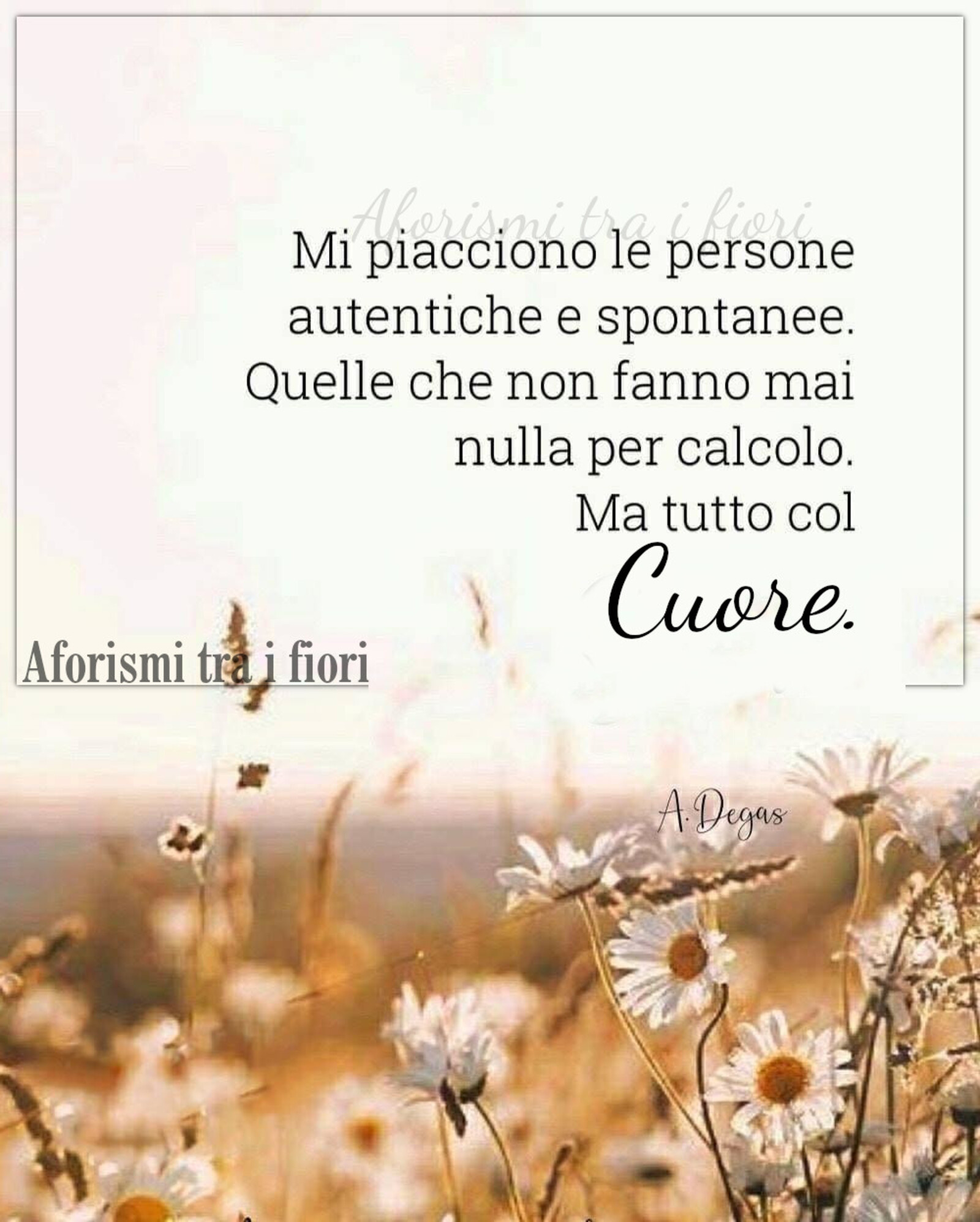 Frasi sulle persone autentiche