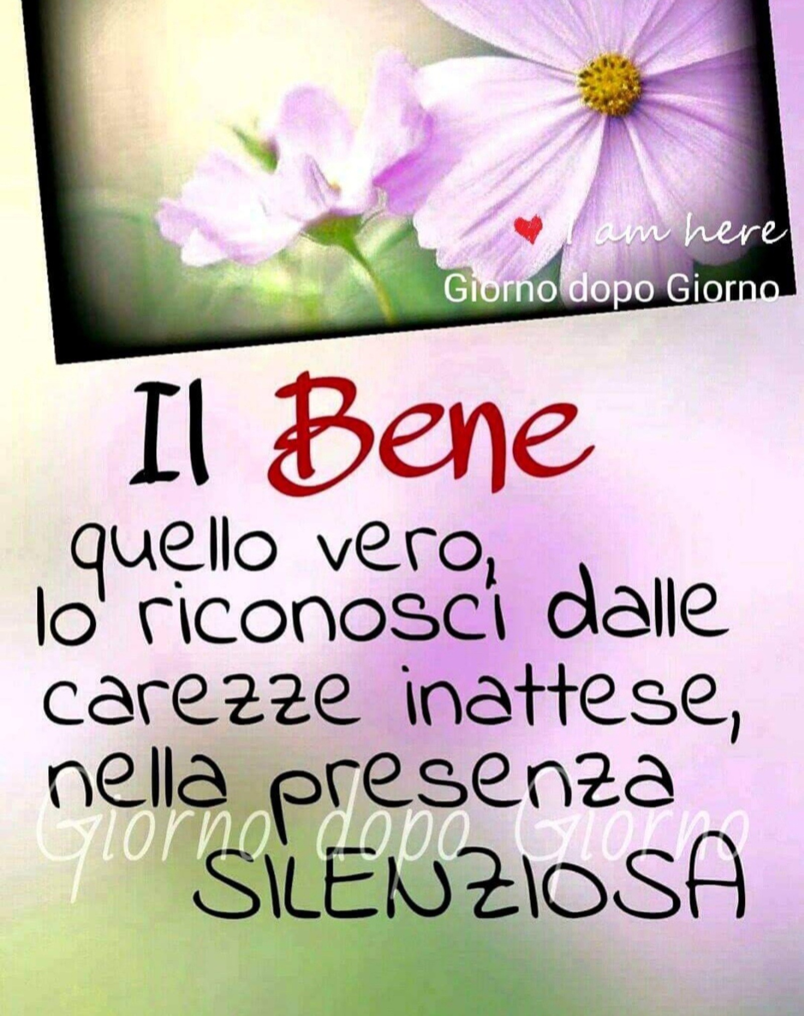 Il Bene quello vero lo riconosci dalle carezze inattese nella presenza silenziosa