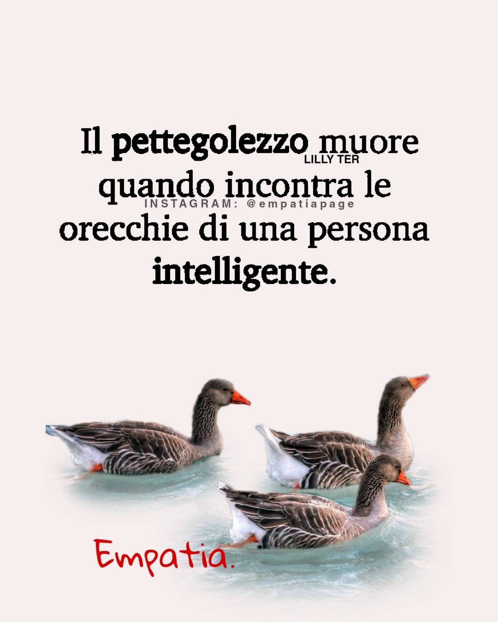 Il pettegolezzo muore quando incontra le orecchie di una persona intelligente