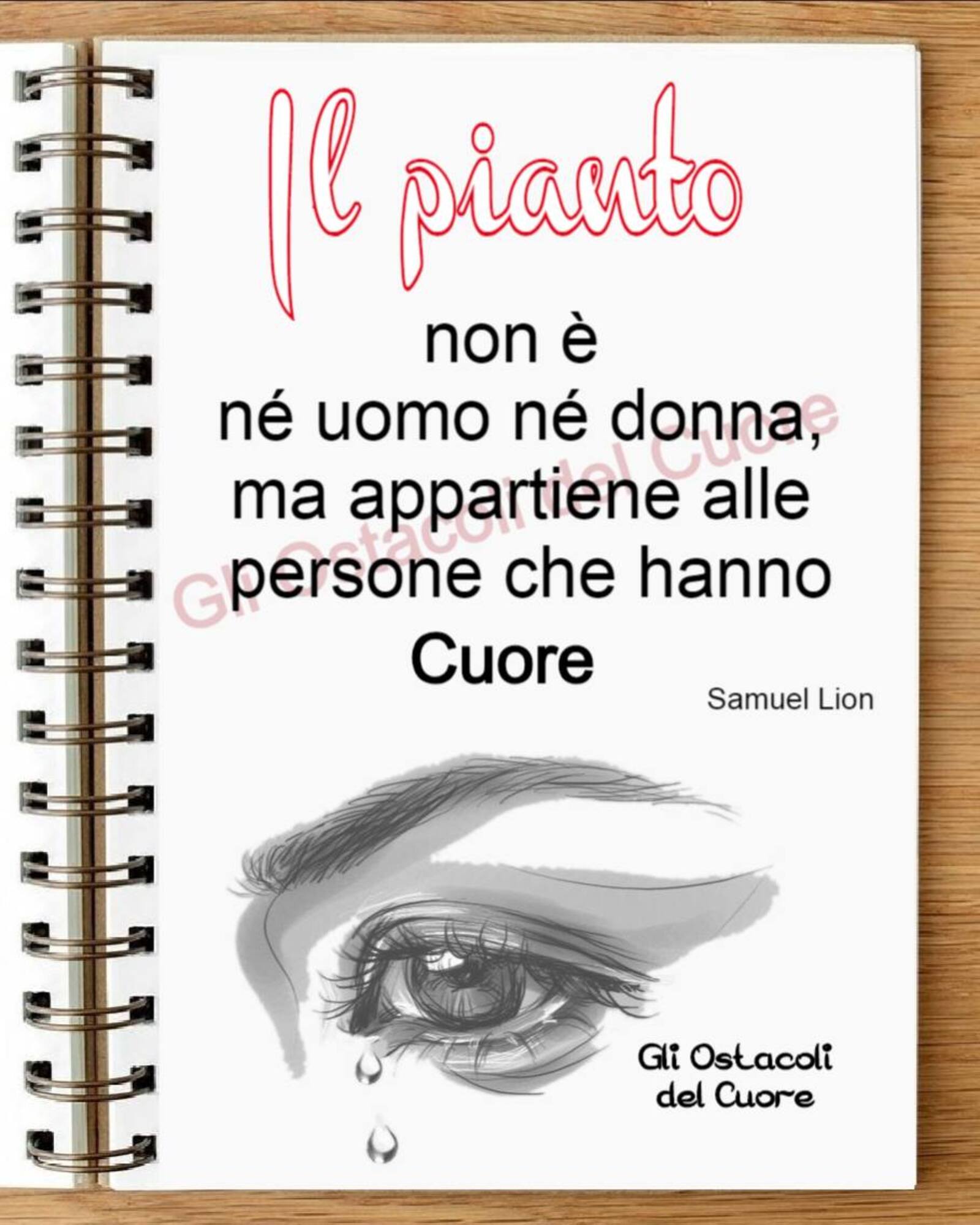 Il pianto non è né uomo né donna ma appartiene alle persone che hanno Cuore Samuel Lion