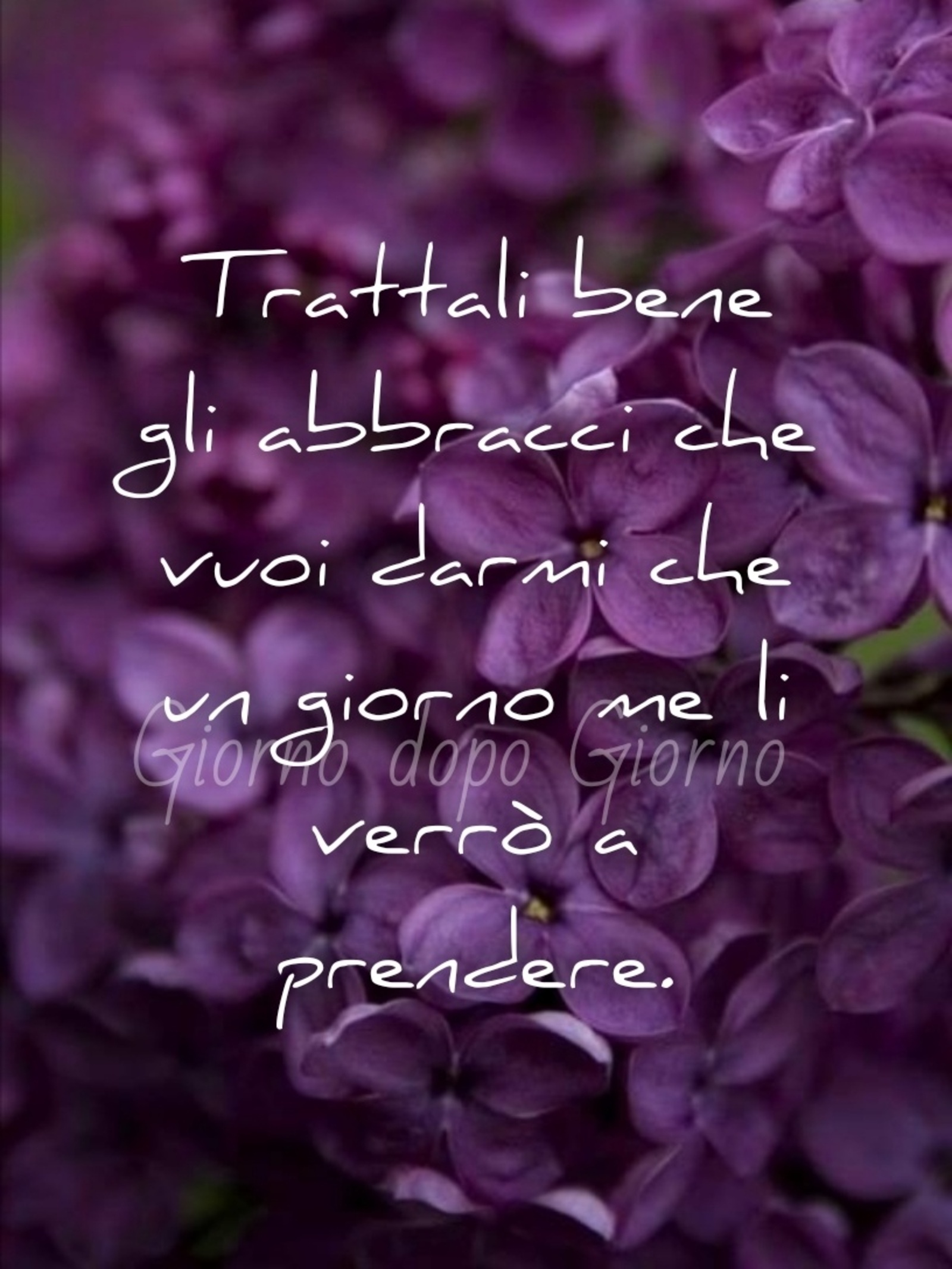 Immagini con frasi (14)