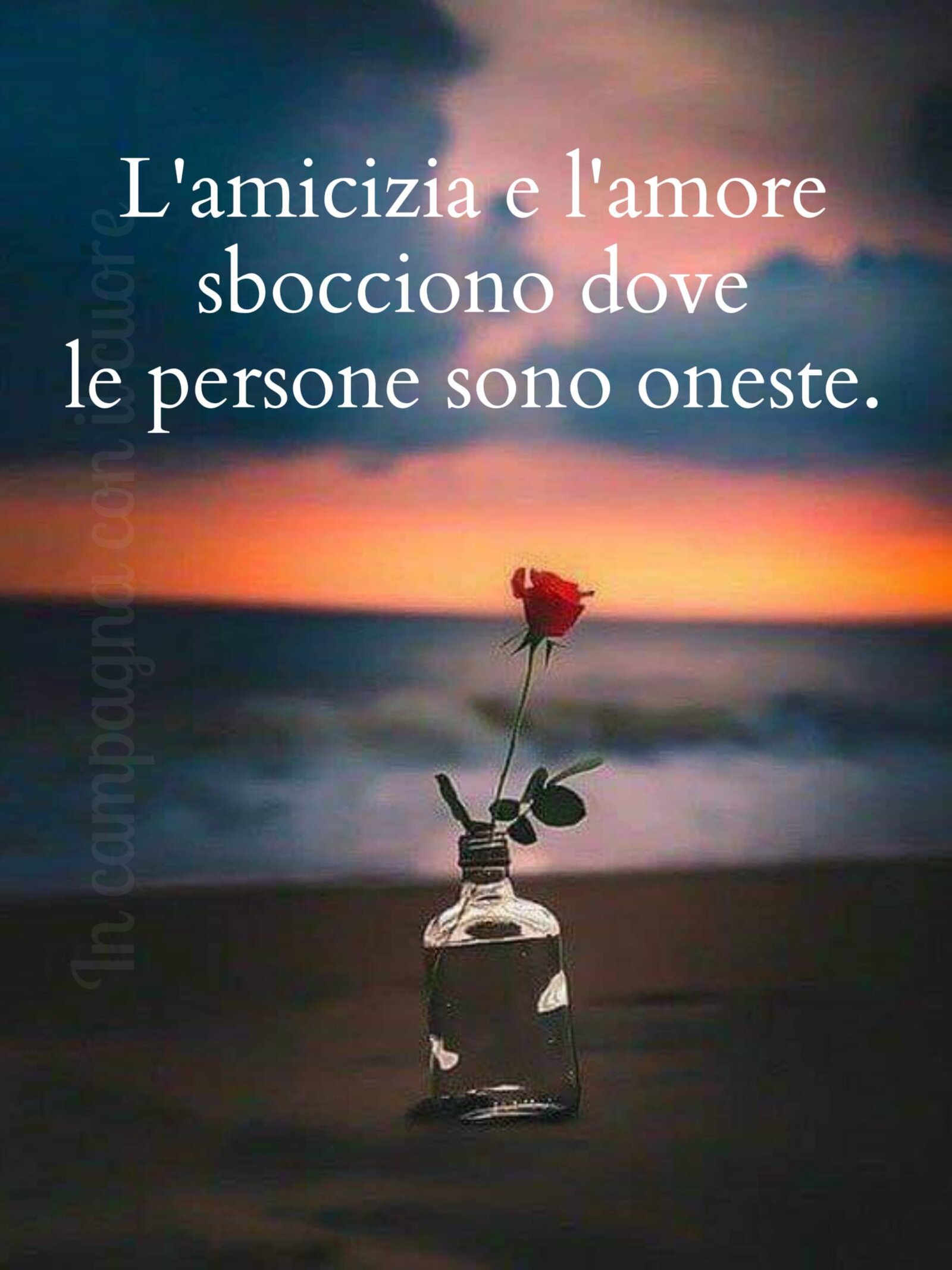 L’ amicizia e l’ amore sbocciano dove le persone sono oneste