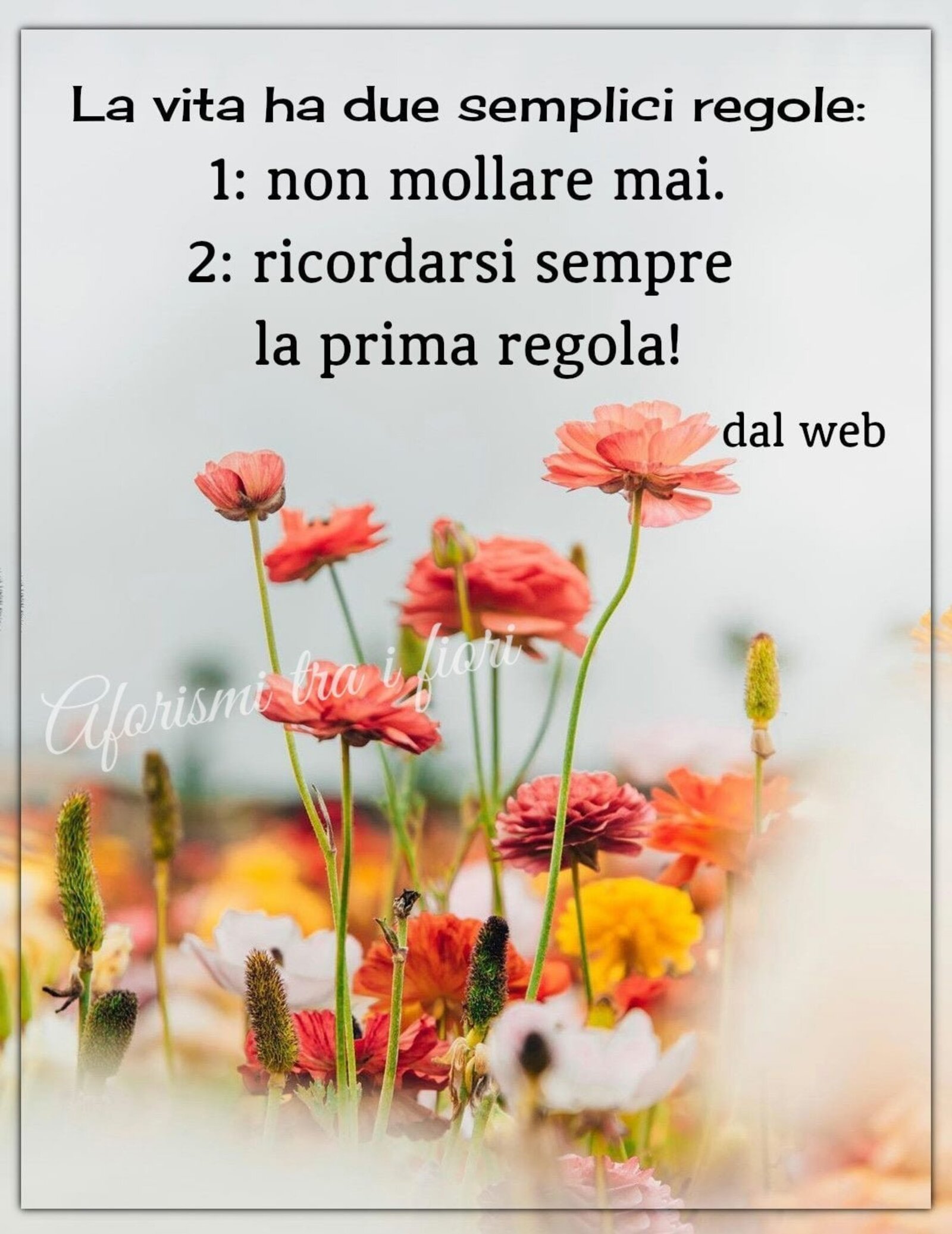 La vita ha due semplici regole non mollare mai ricordarsi sempre la prima regola