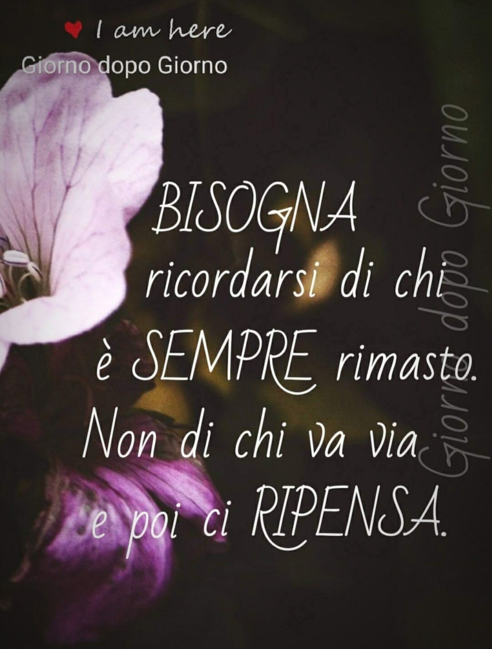 Le migliori frasi sul web (8)