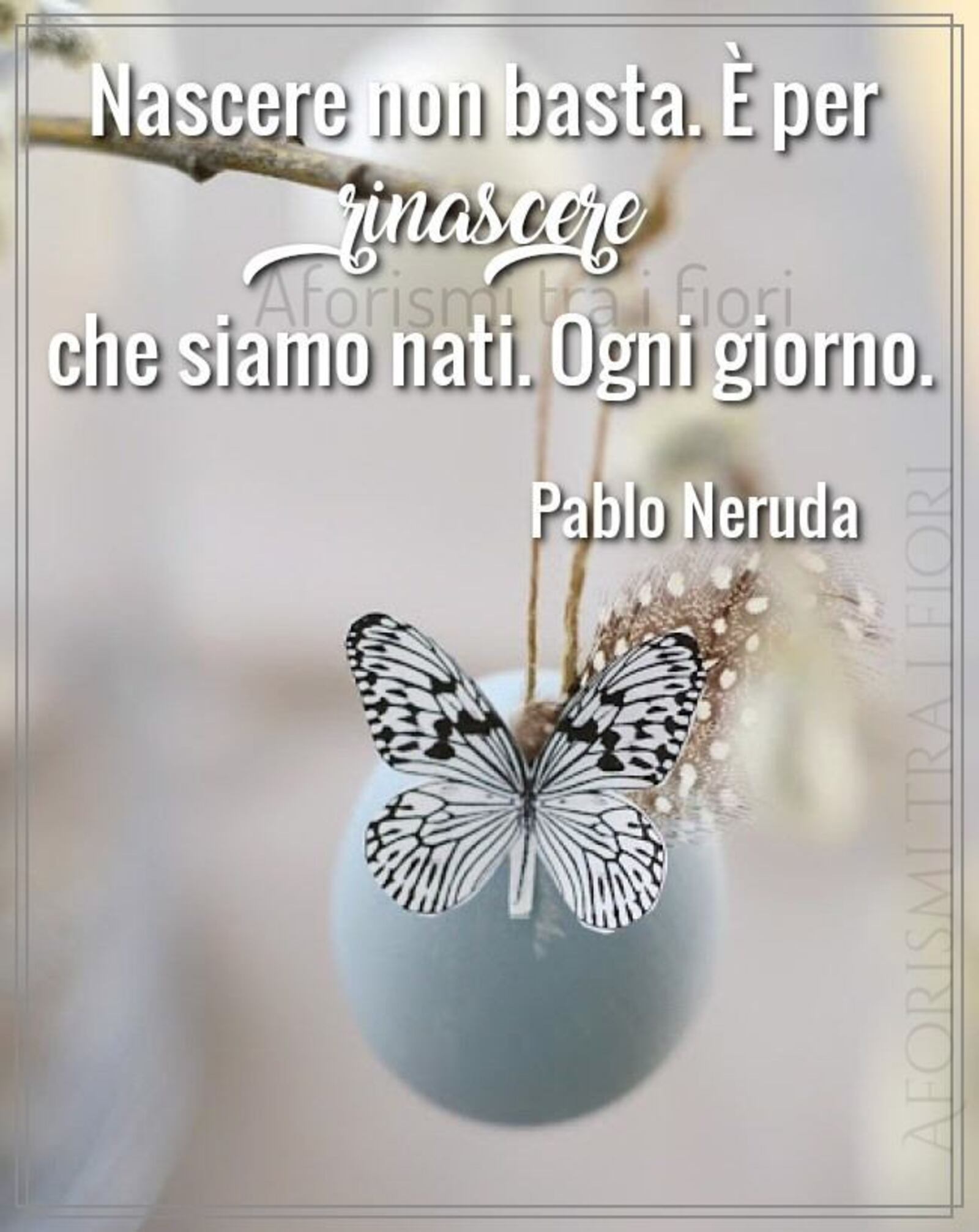 Nascere non basta è per rinascere che siano nati ogni giorno Pablo Neruda