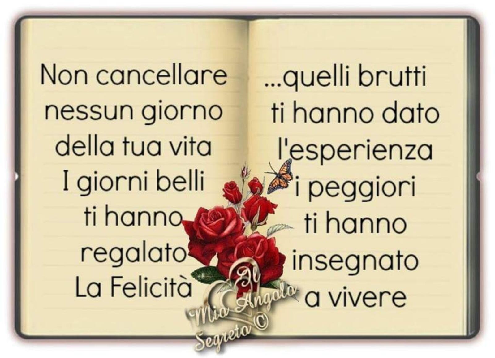 Non cancellare nessun giorno della tua vita i giorni belli ti hanno regalato la felicità i brutti l’ esperienza