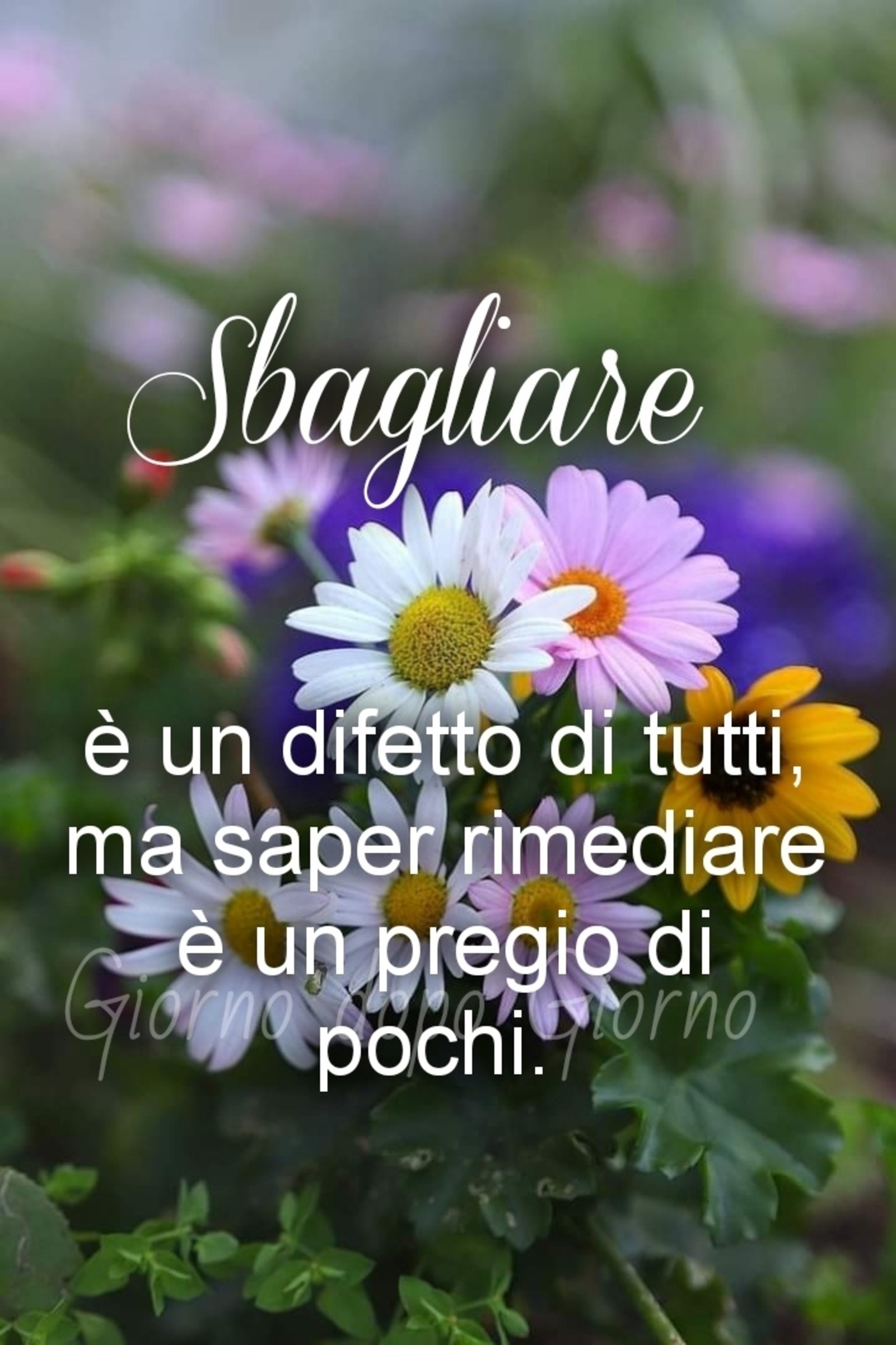 Sbagliare è un difetto di tutti ma saper rimendiare è un pregio di pochi