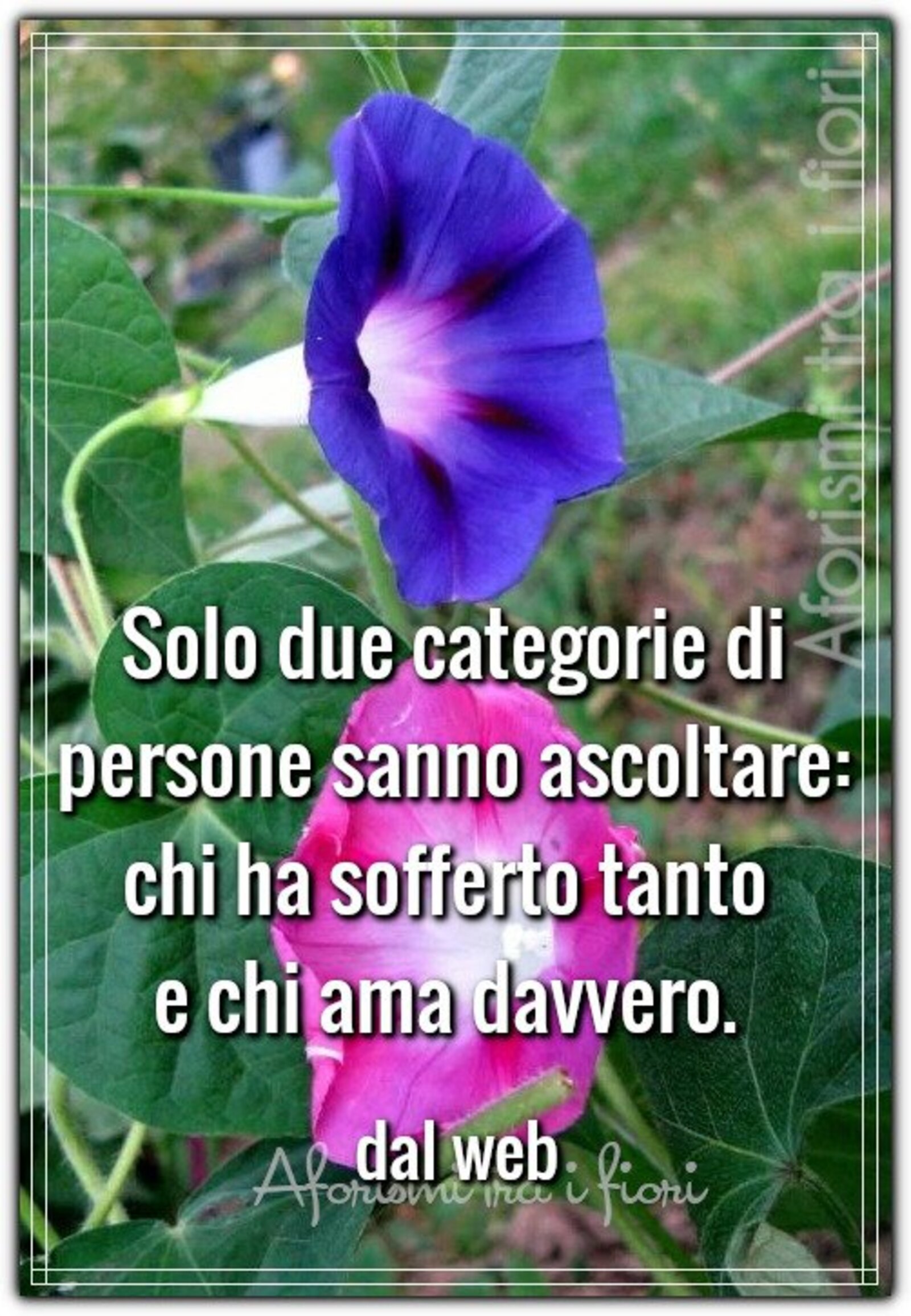 Solo due categorie di persone sanno ascoltare chi ha sofferto tanto e chi ama davvero