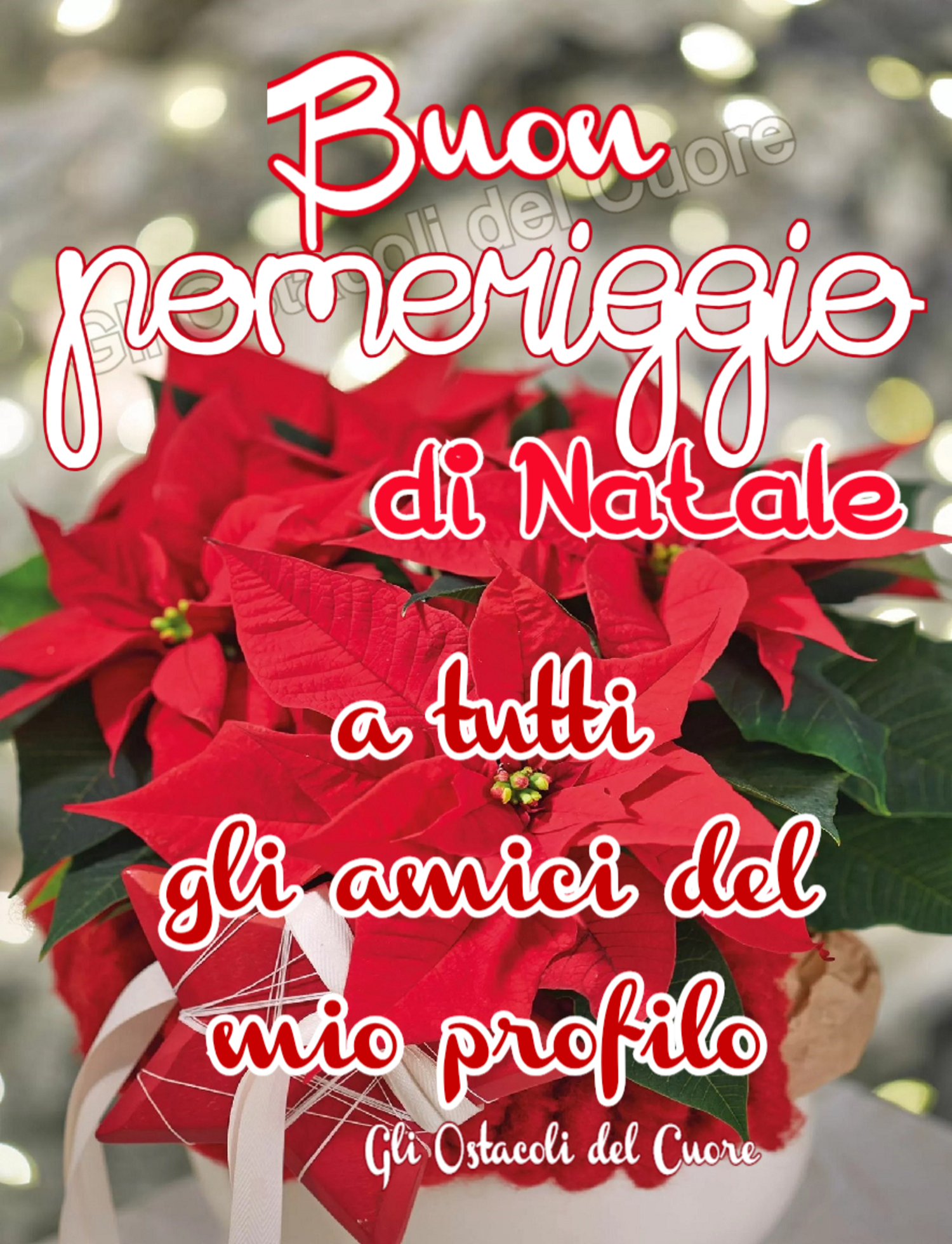 Buon Pomeriggio di Natale a tutti gli amici del mio profilo