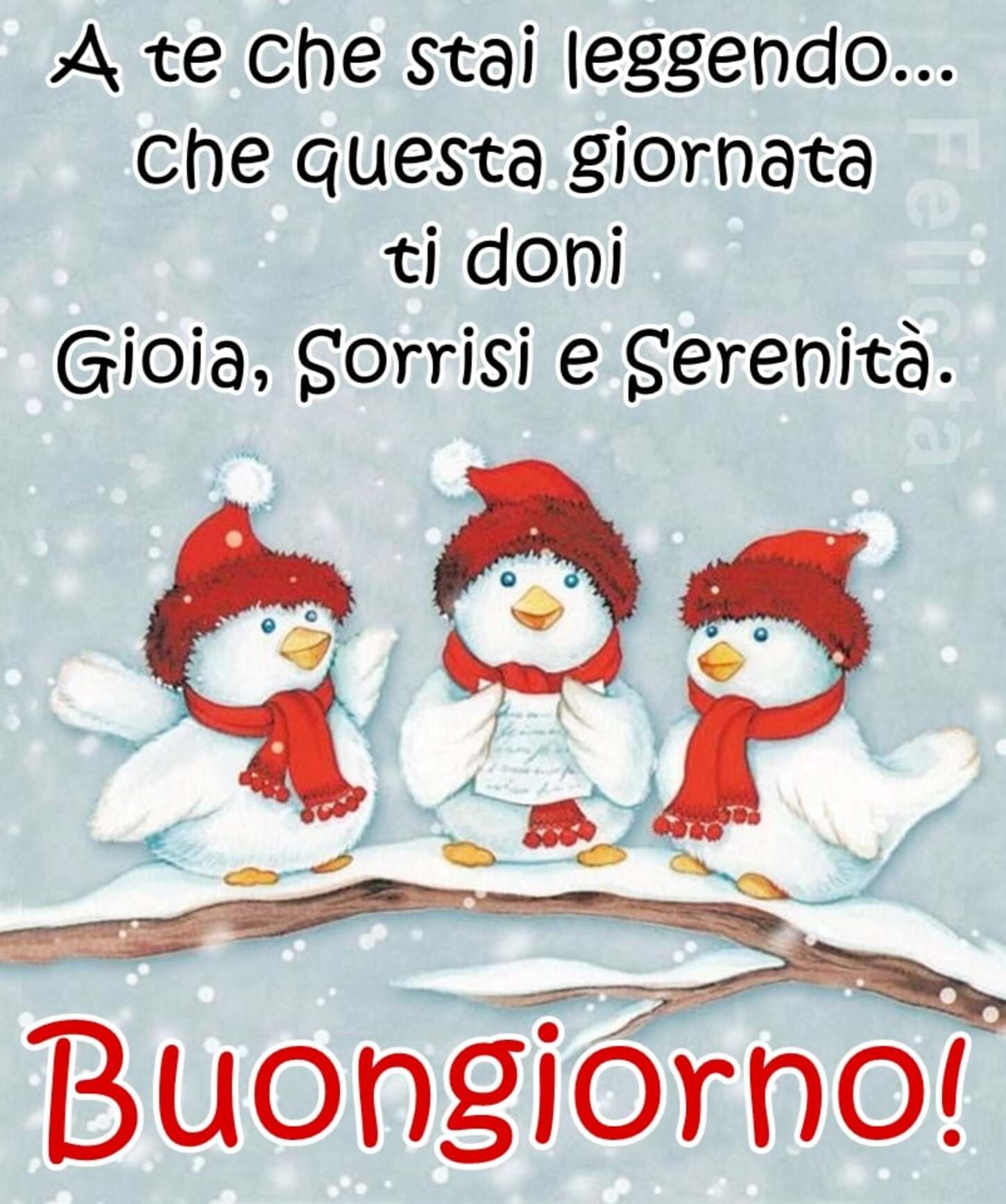 Immagini di buongiorno a tema Natale (2)