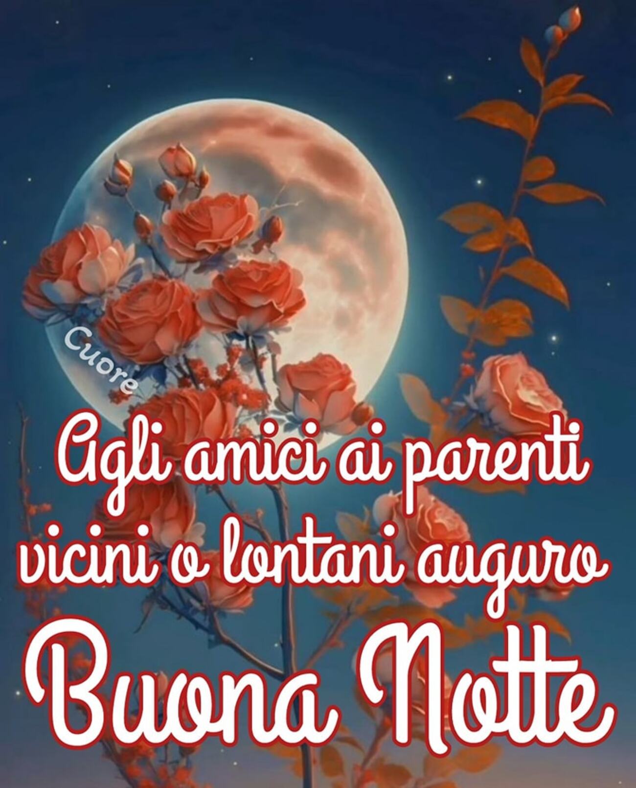 Agli amici ai parenti vicini e lontani auguro buona notte