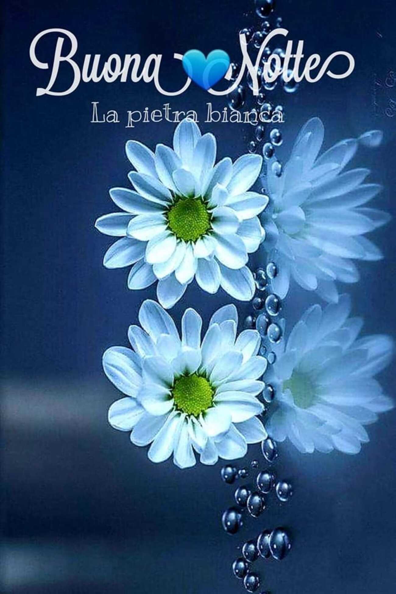 Buona Notte cuore blu