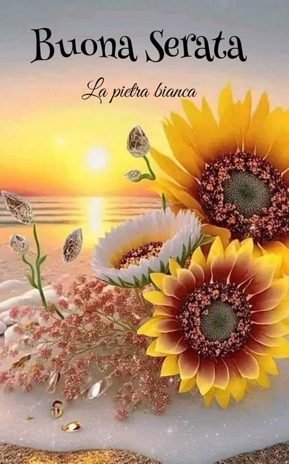 Buona Serata girasoli