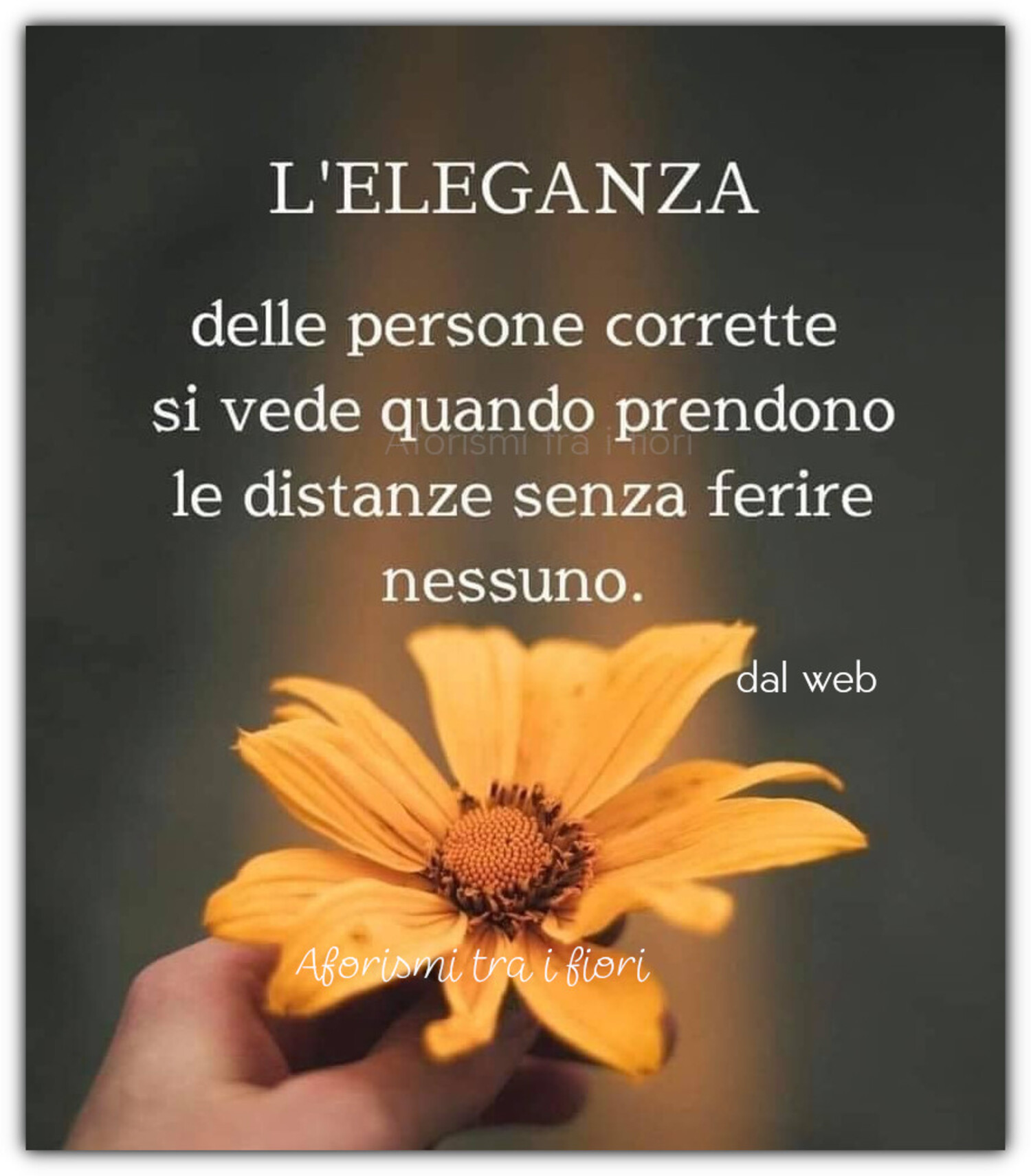 L’eleganza delle persone corrette si vede quando prendono le distanze senza ferire nessuno